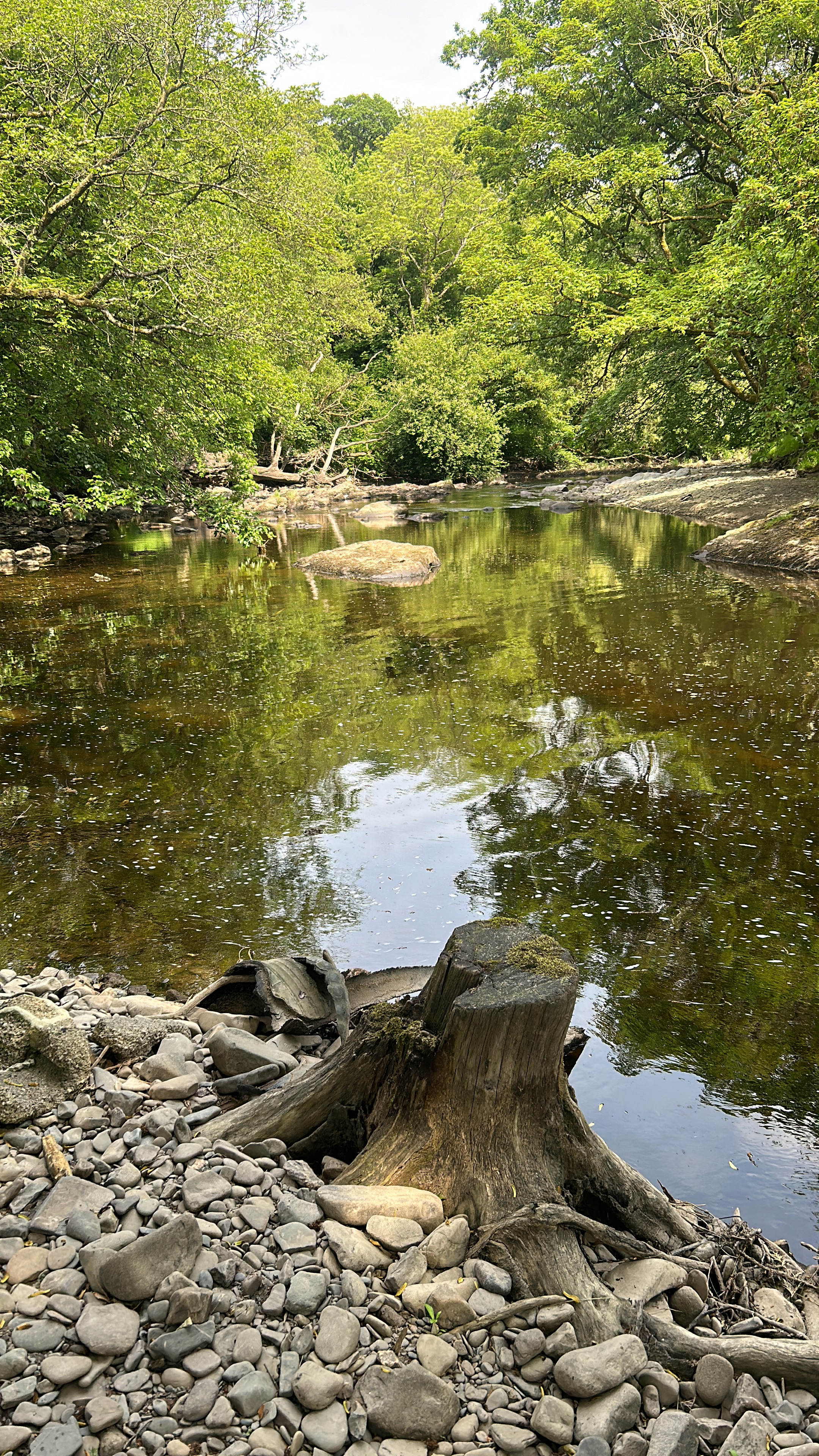 Gwersyllt Rhos y Gallt Campsite
