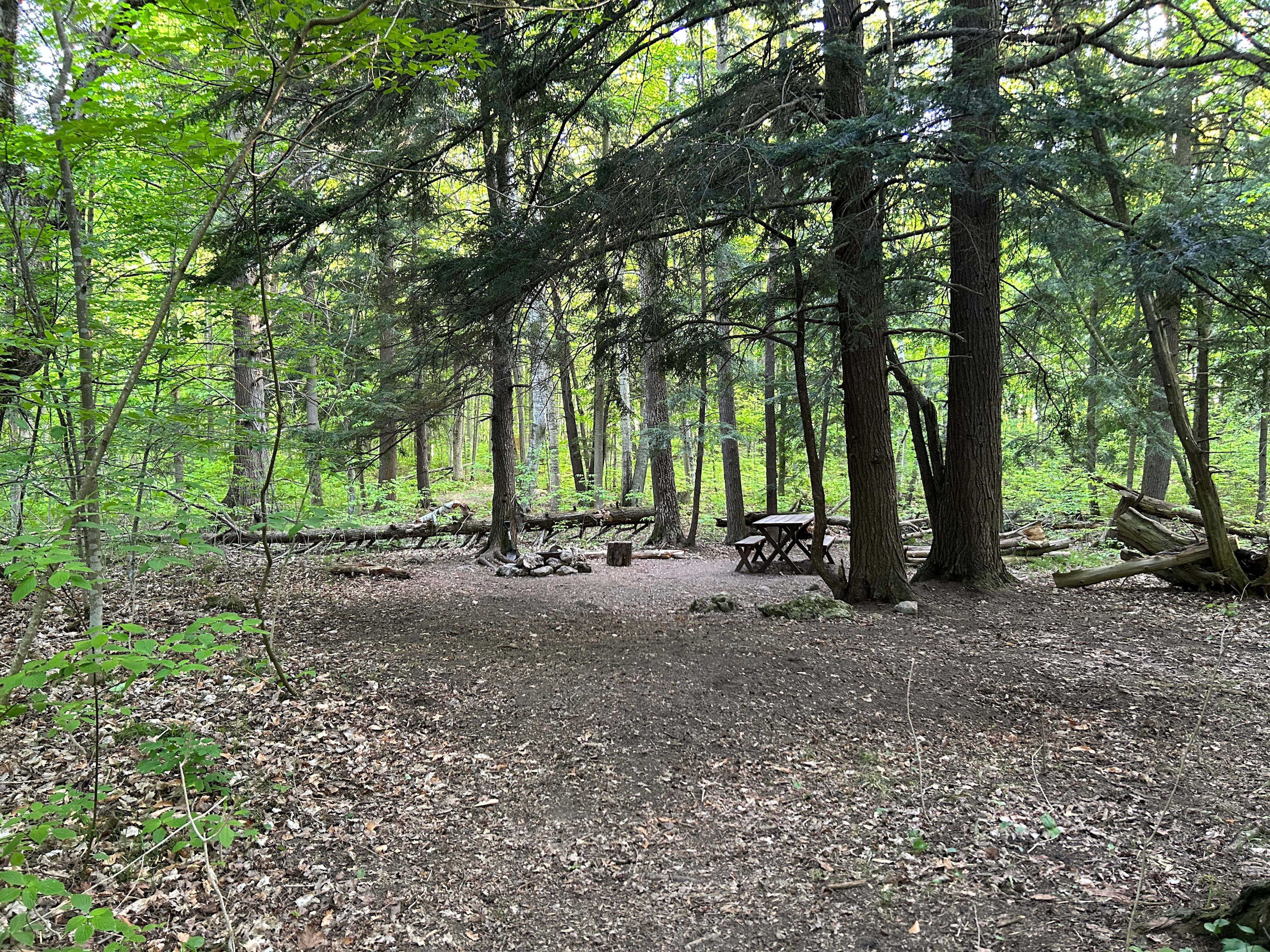 Boondocking on 135 Acres