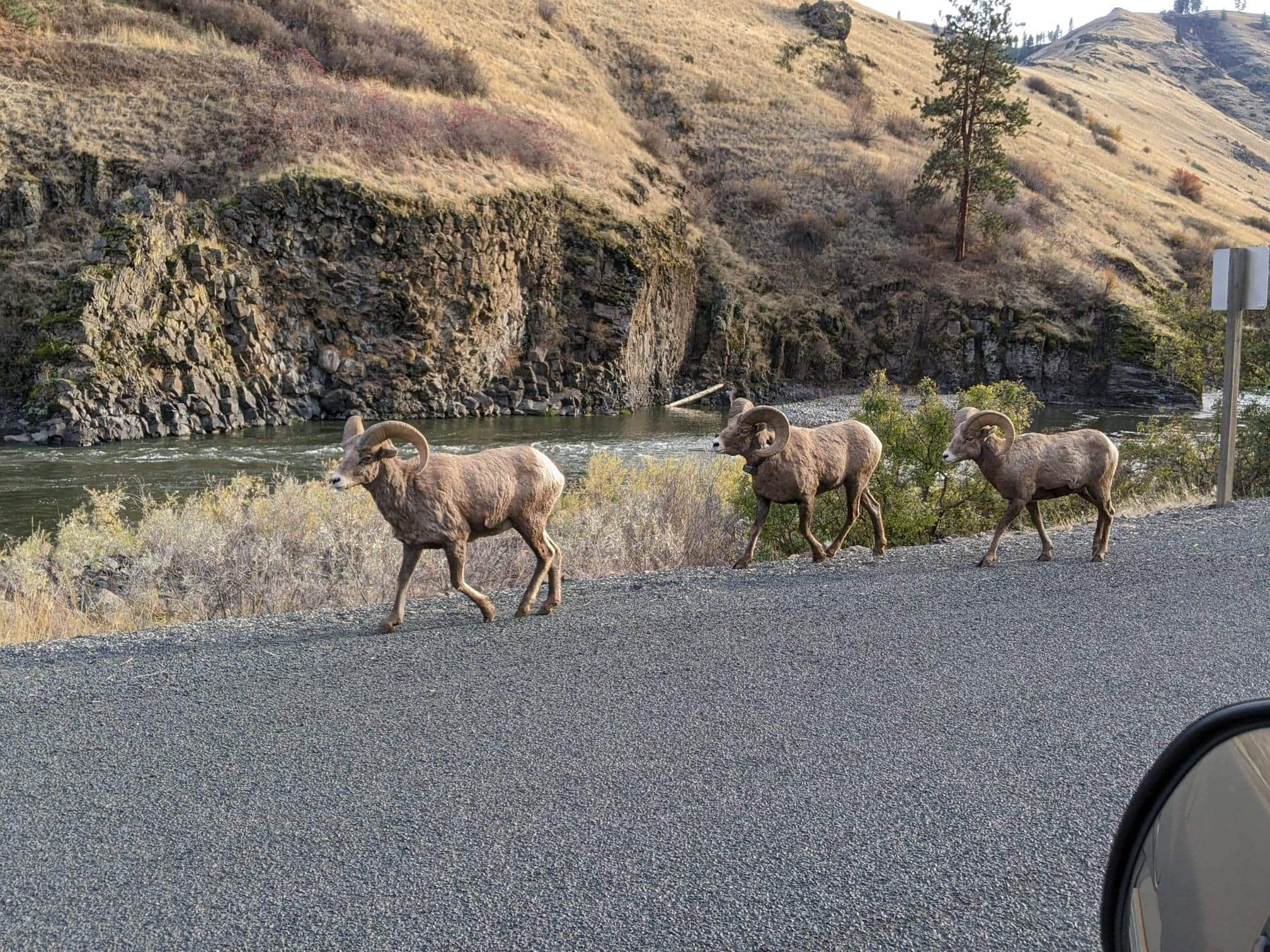 Overnight at the Oasis