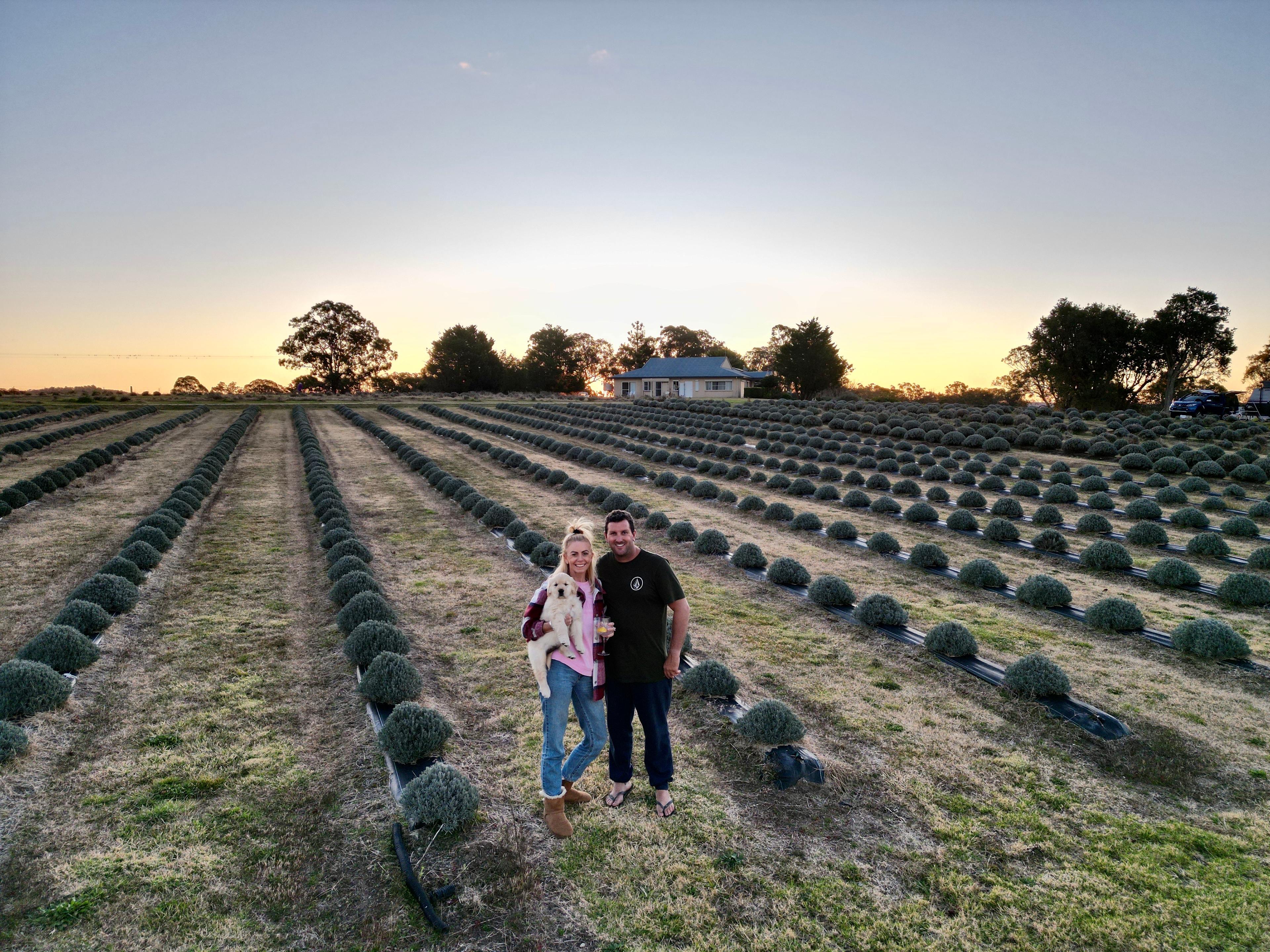 Aloomba Lavender Farm
