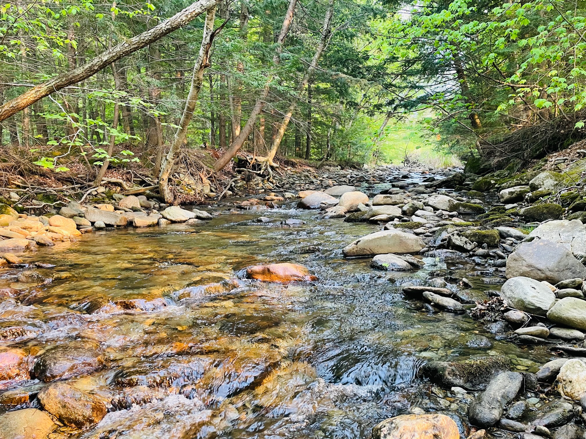 River Camp at Smuggler's Notch