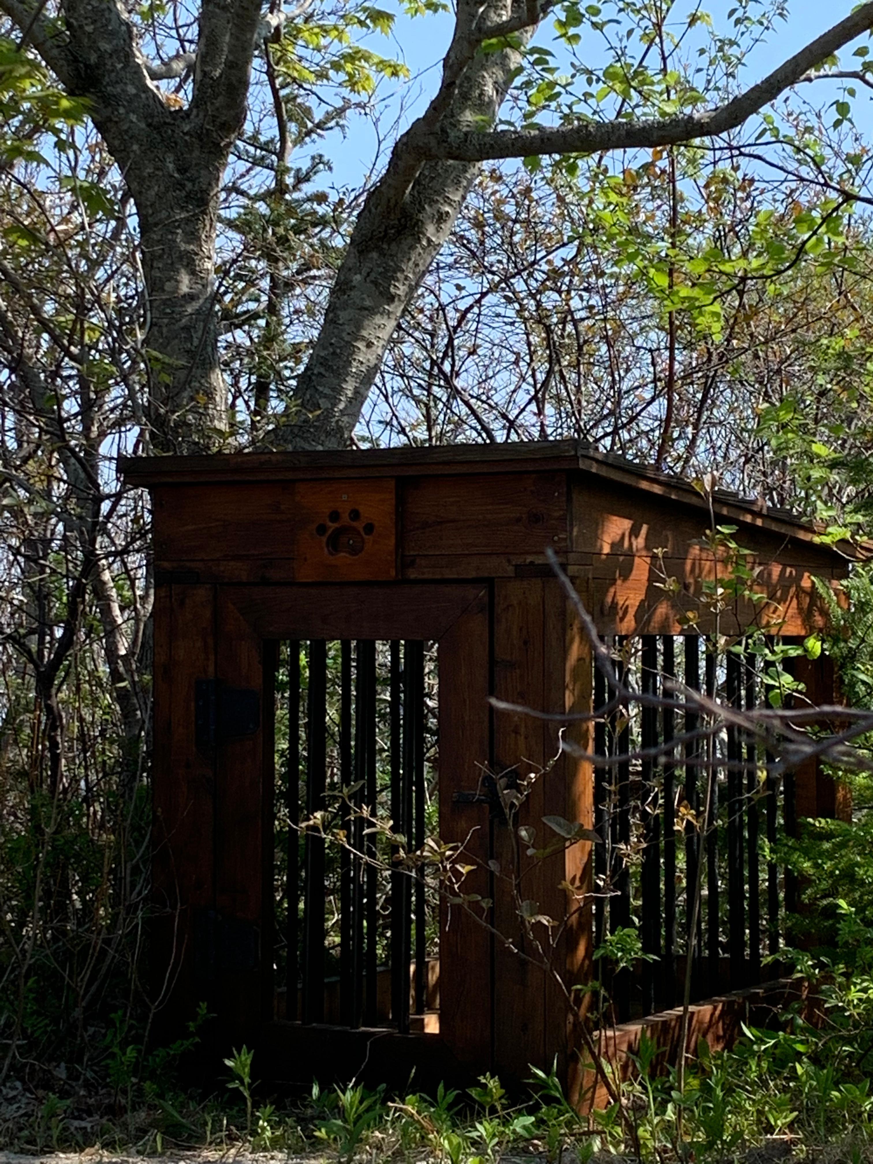 Custom summer dog house next to tent site
