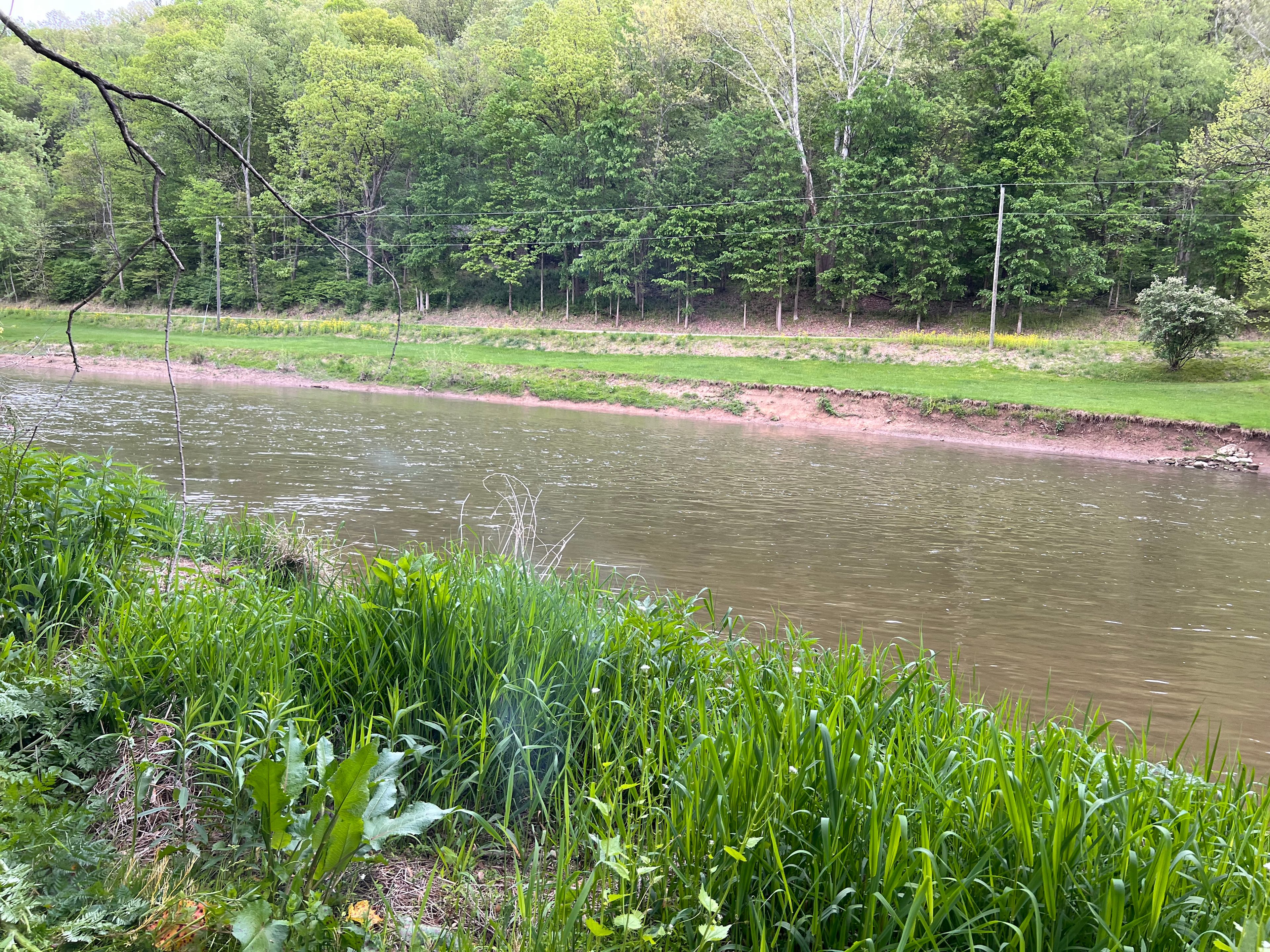 The land.