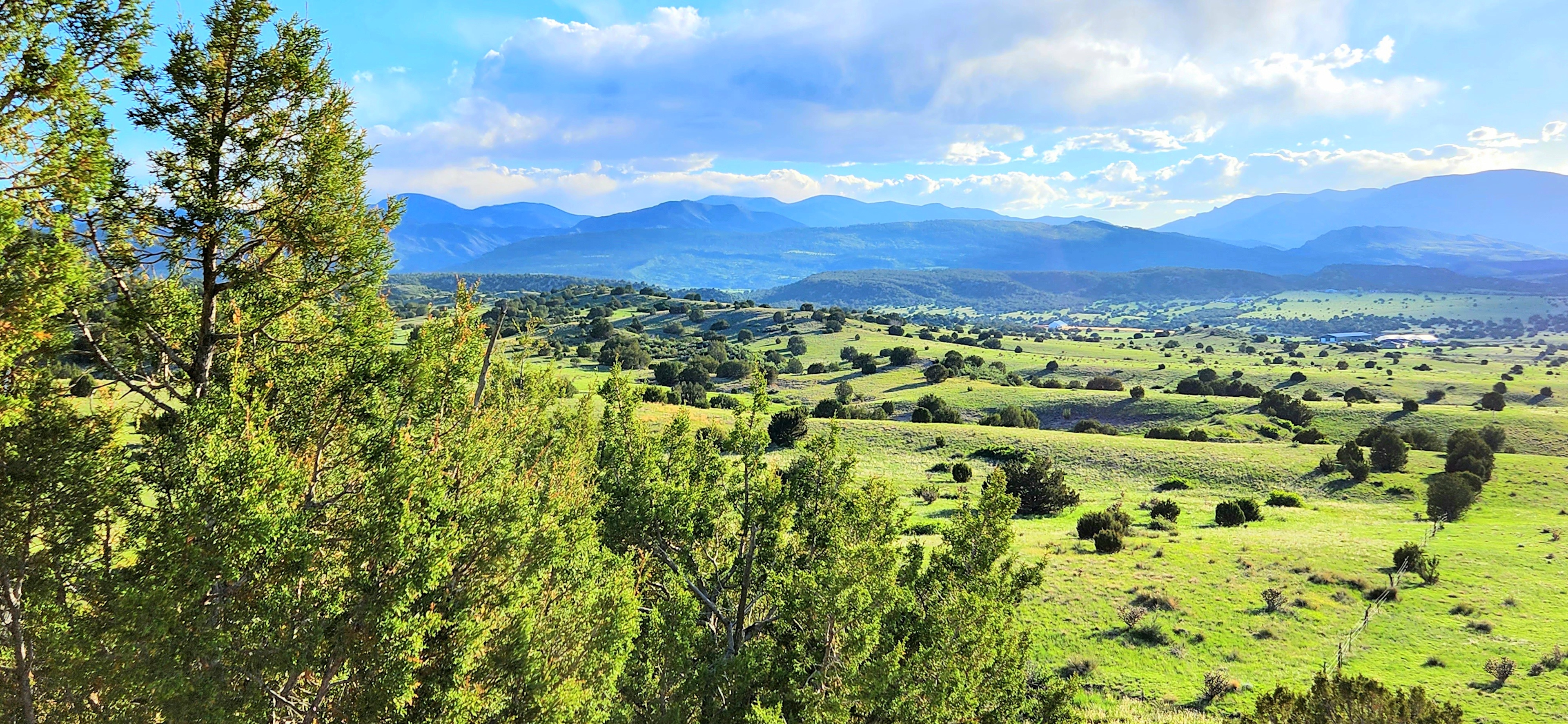 Just one of many, many different scenic views from the 125 acres you'll enjoy to yourself