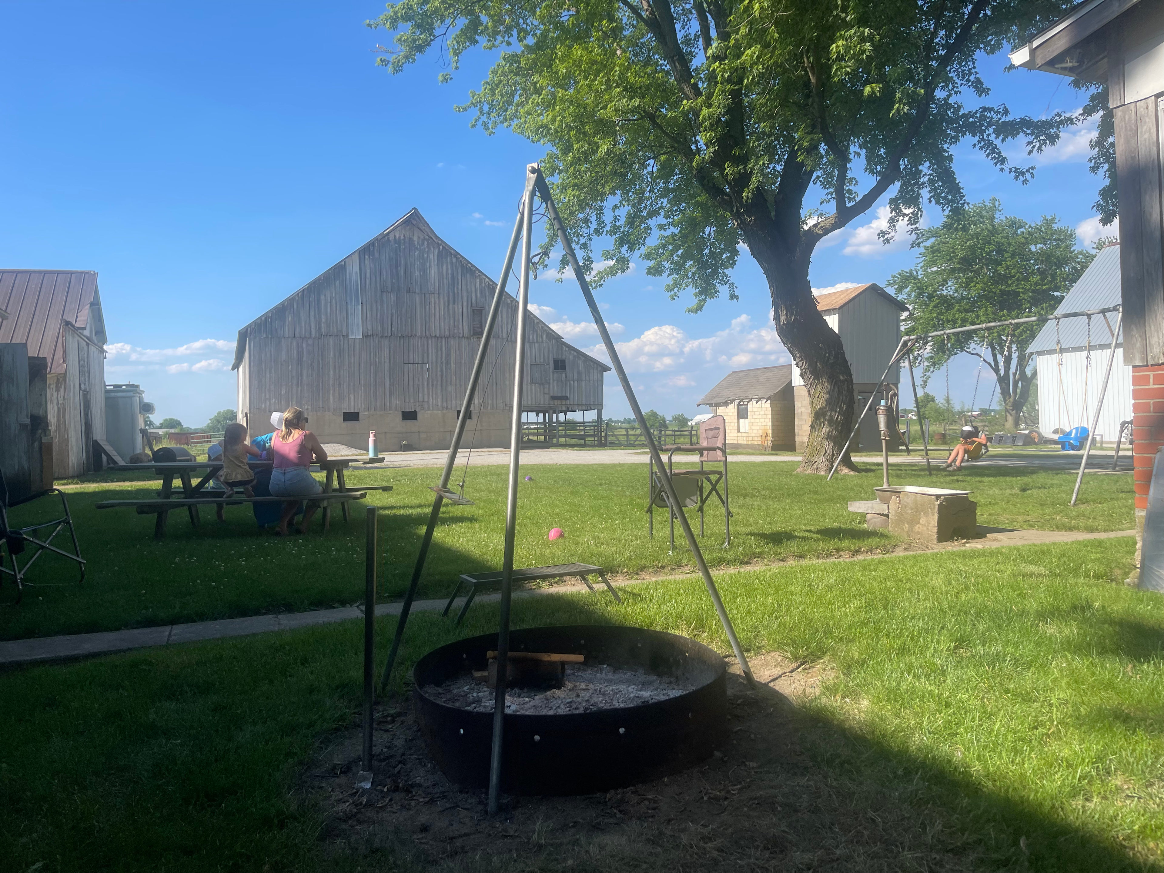 The kids enjoy spending most of their day swinging on the swings and exploring the farm. 