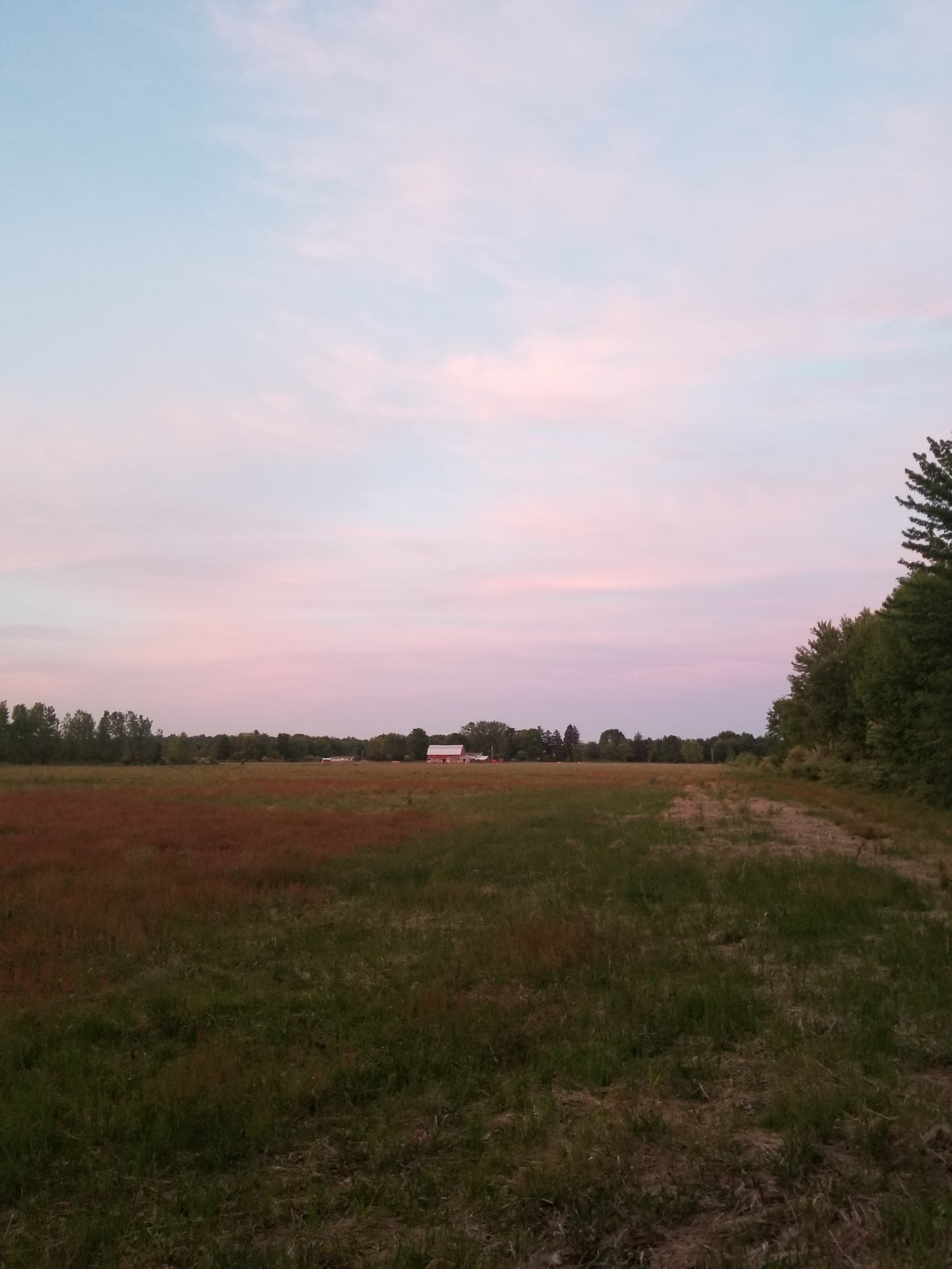 The Windy Homestead