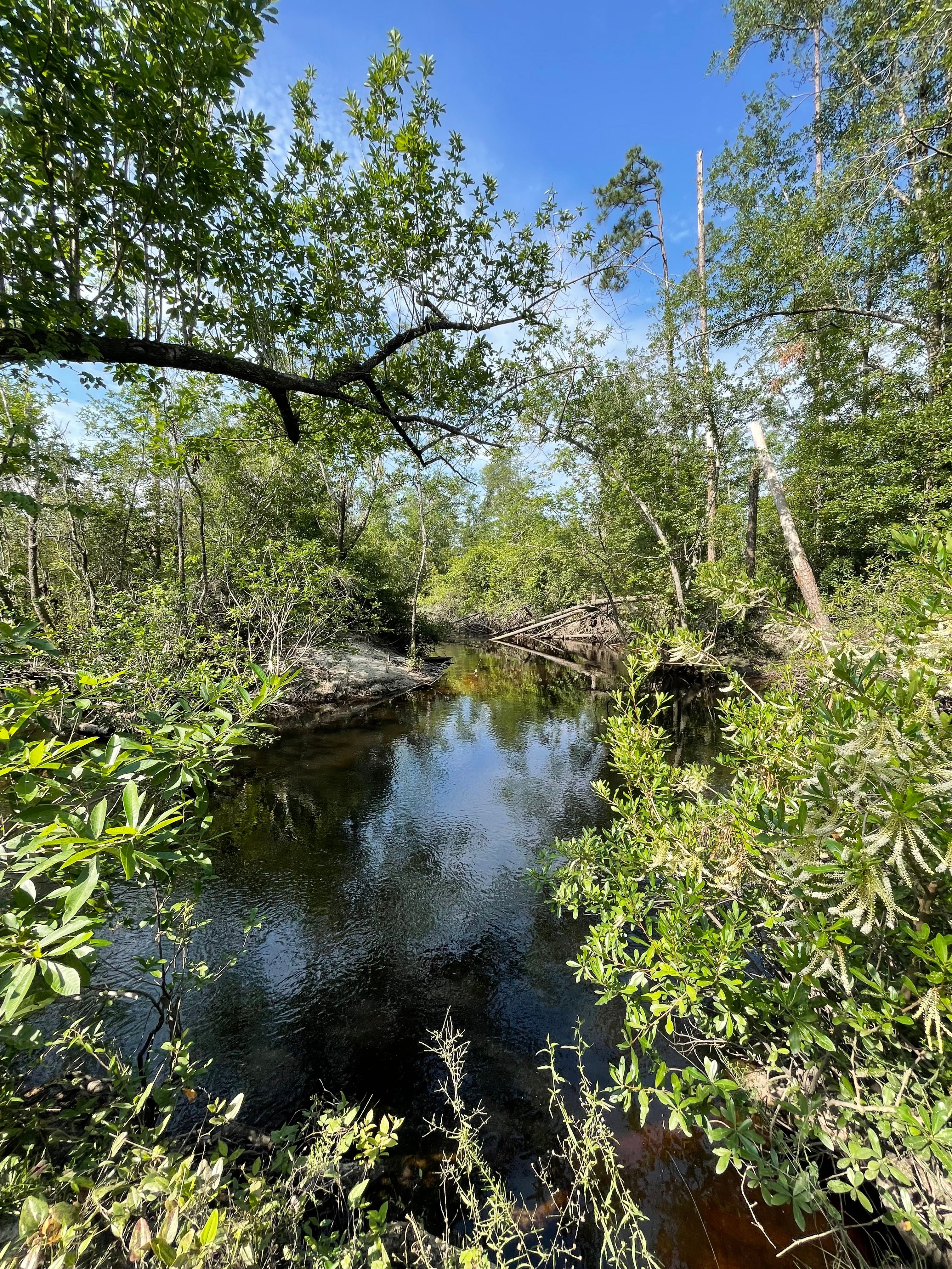 Golden Retreat at Bear Creek