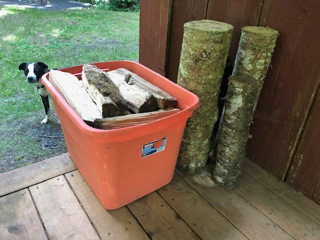 $10 tub of firewood. Payment through Venmo. Ike's not for sale.

