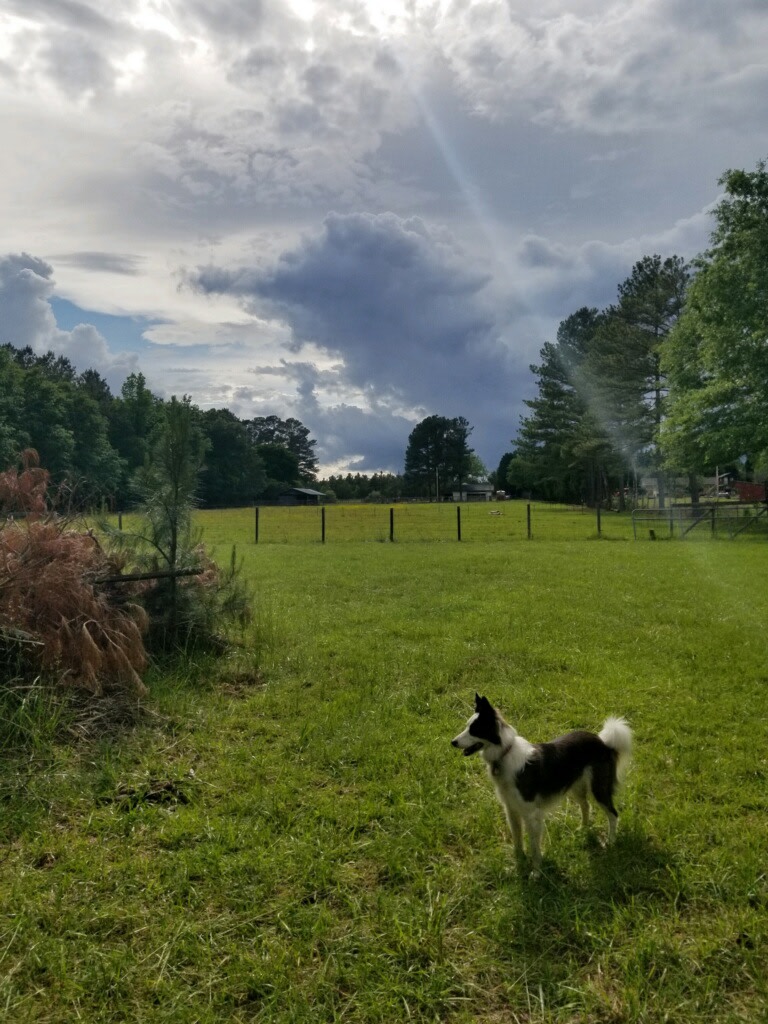Never Rest Ranch