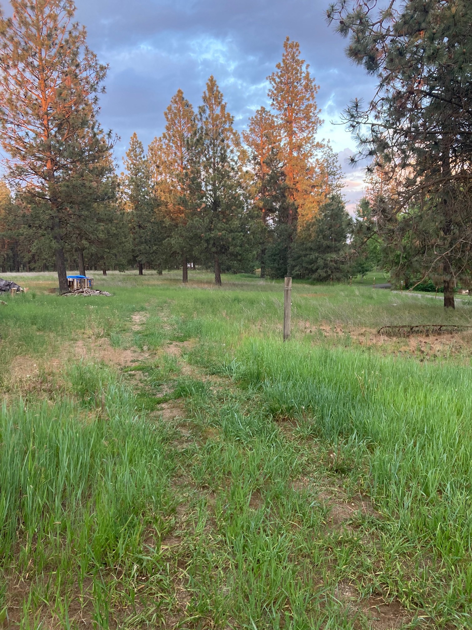 You can park your RV anywhere in the back. If you choose close to the trees we can run an extension cord to power. 