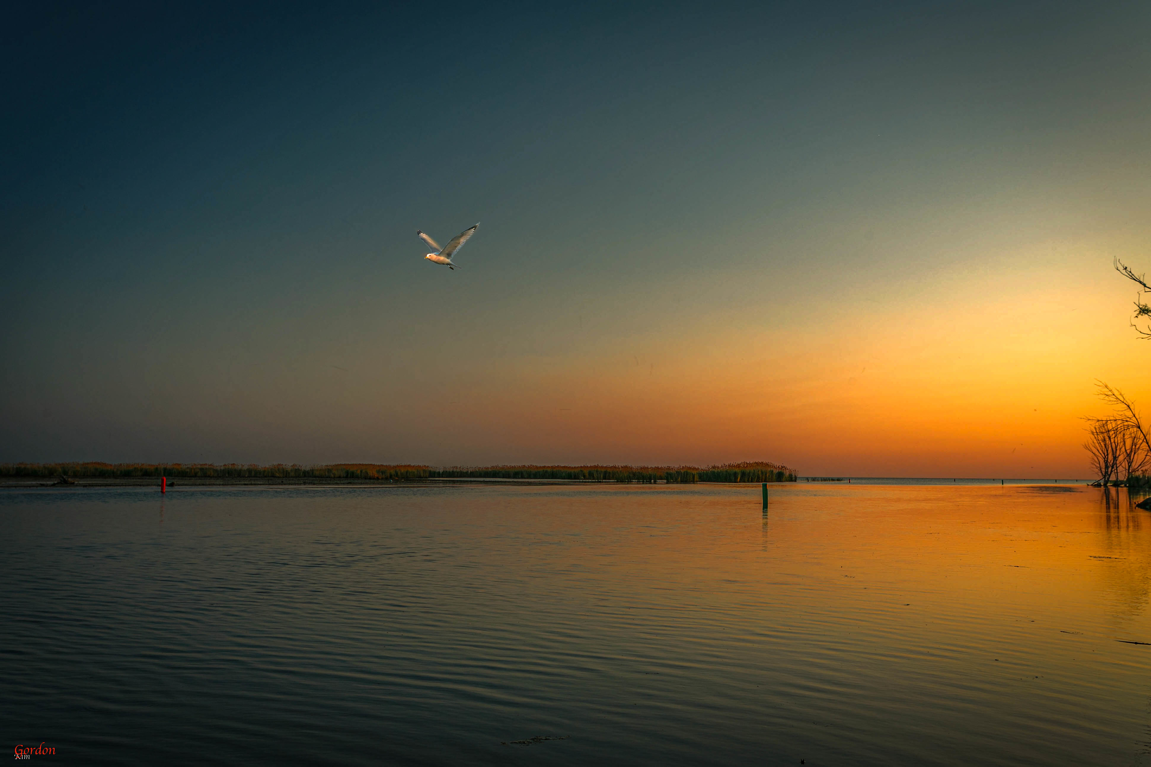 WaterFront Saginaw Bay - w/kayaks