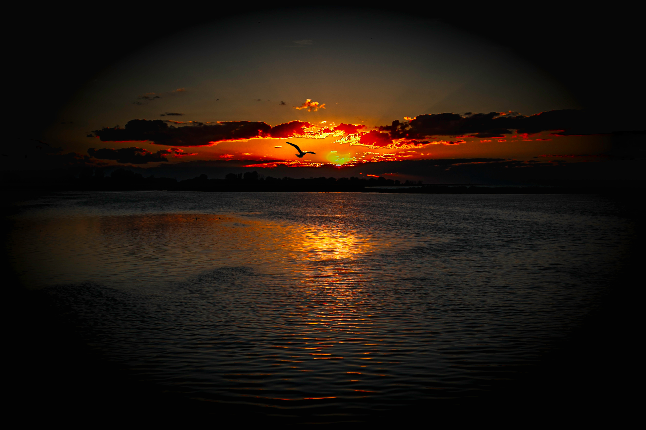 WaterFront Saginaw Bay