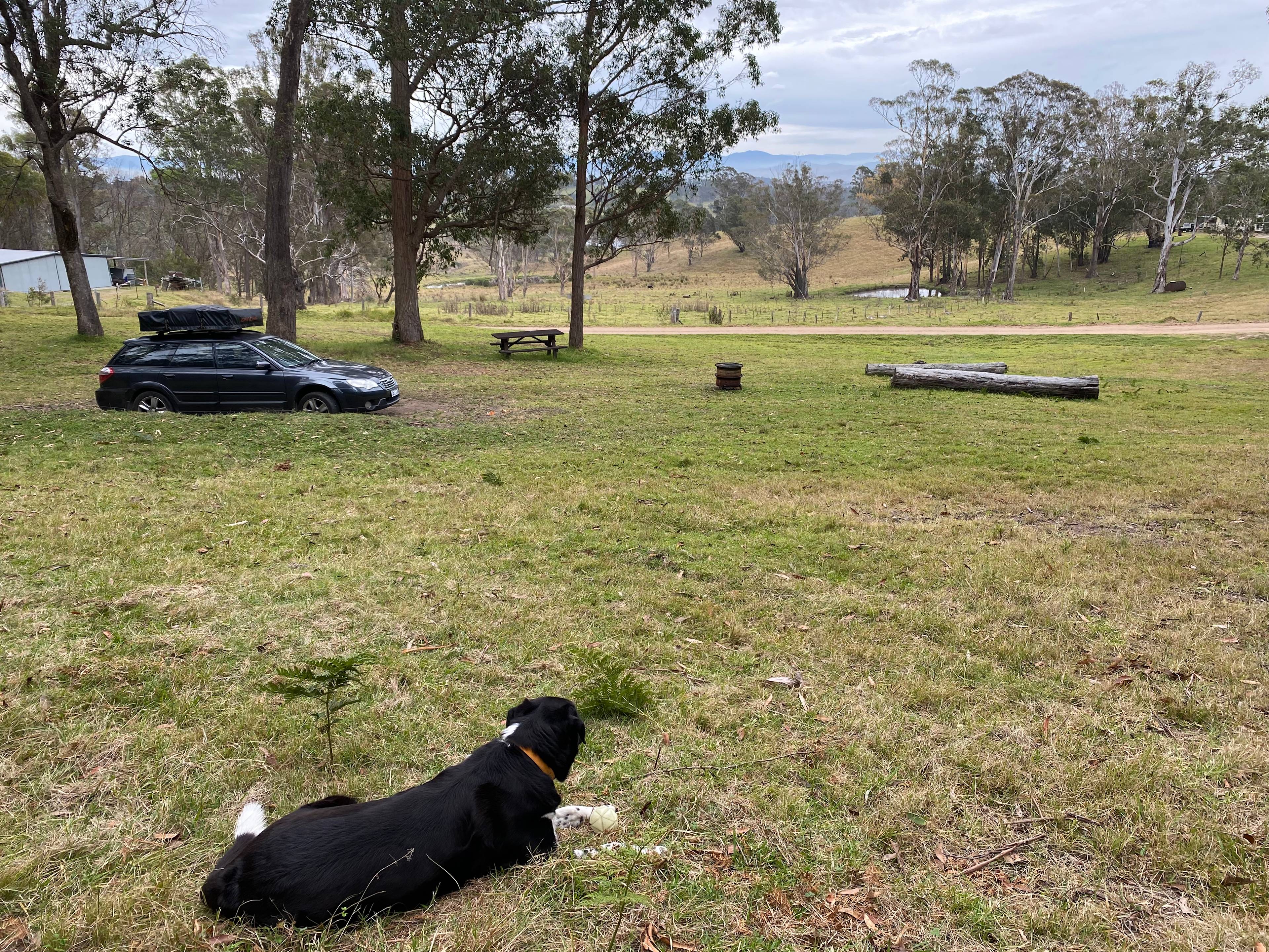 Wolumla Bush Camp