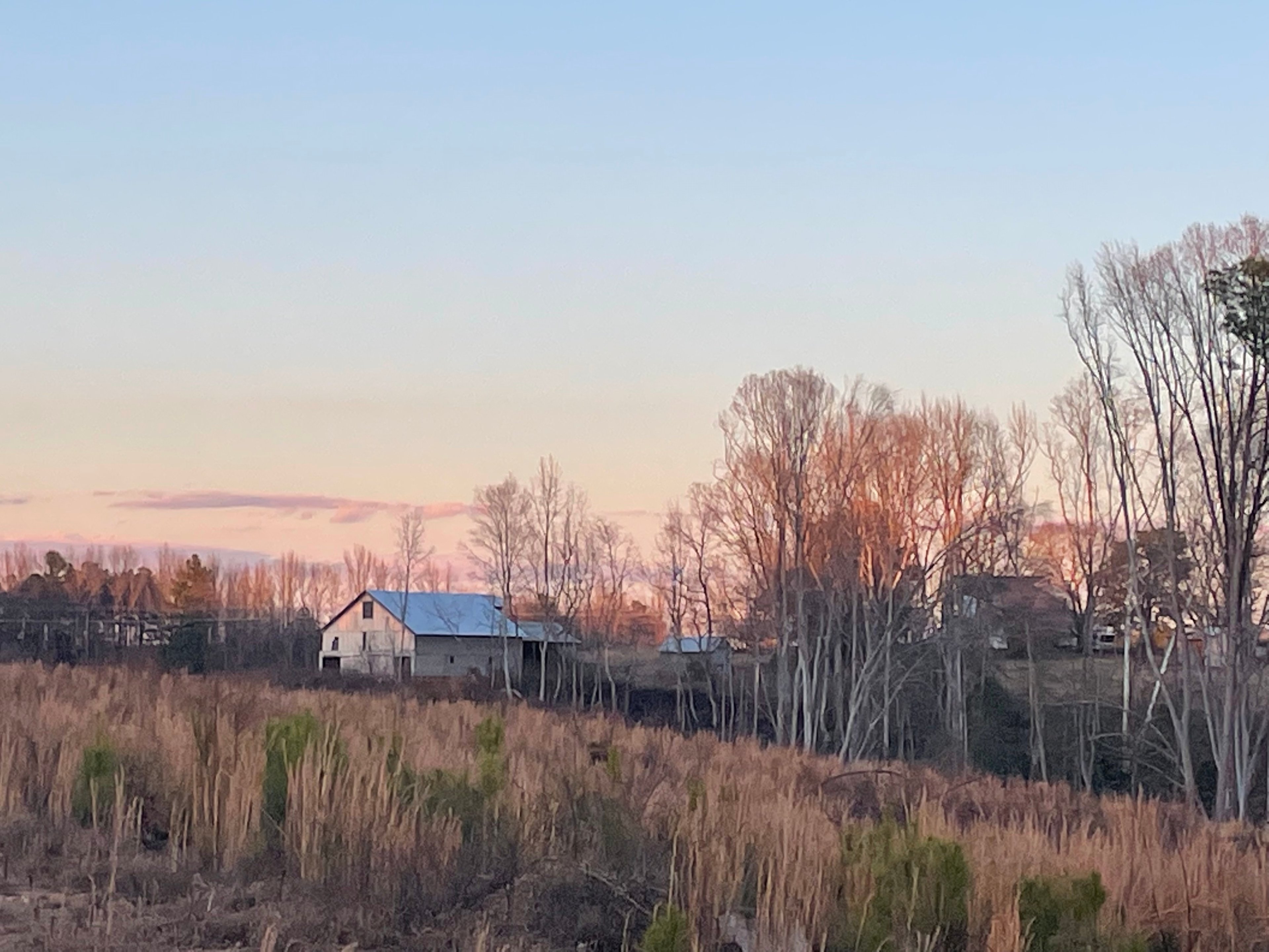 Bracey Farm