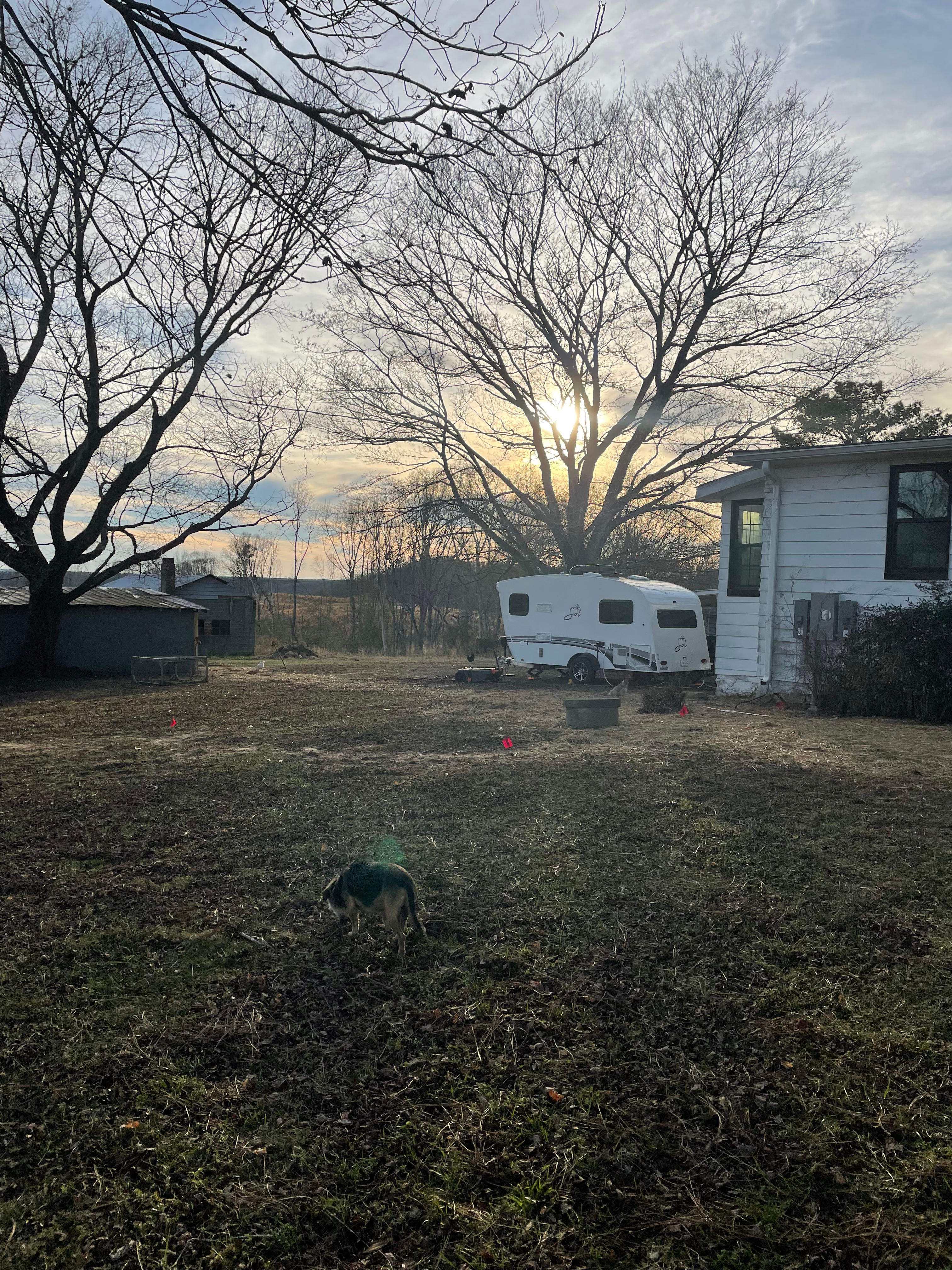 Bracey Farm