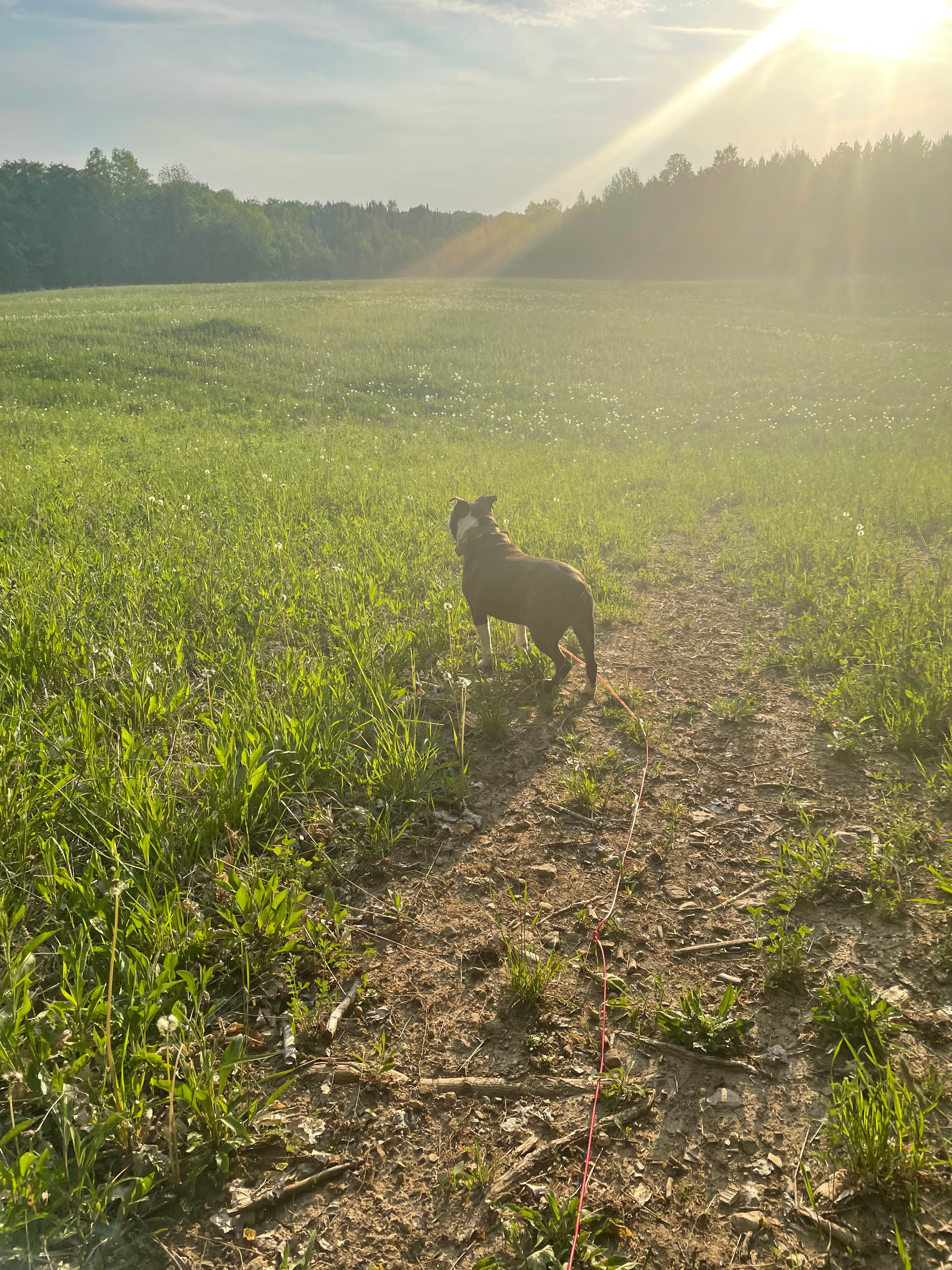 Flesherton Bunkie & Camping