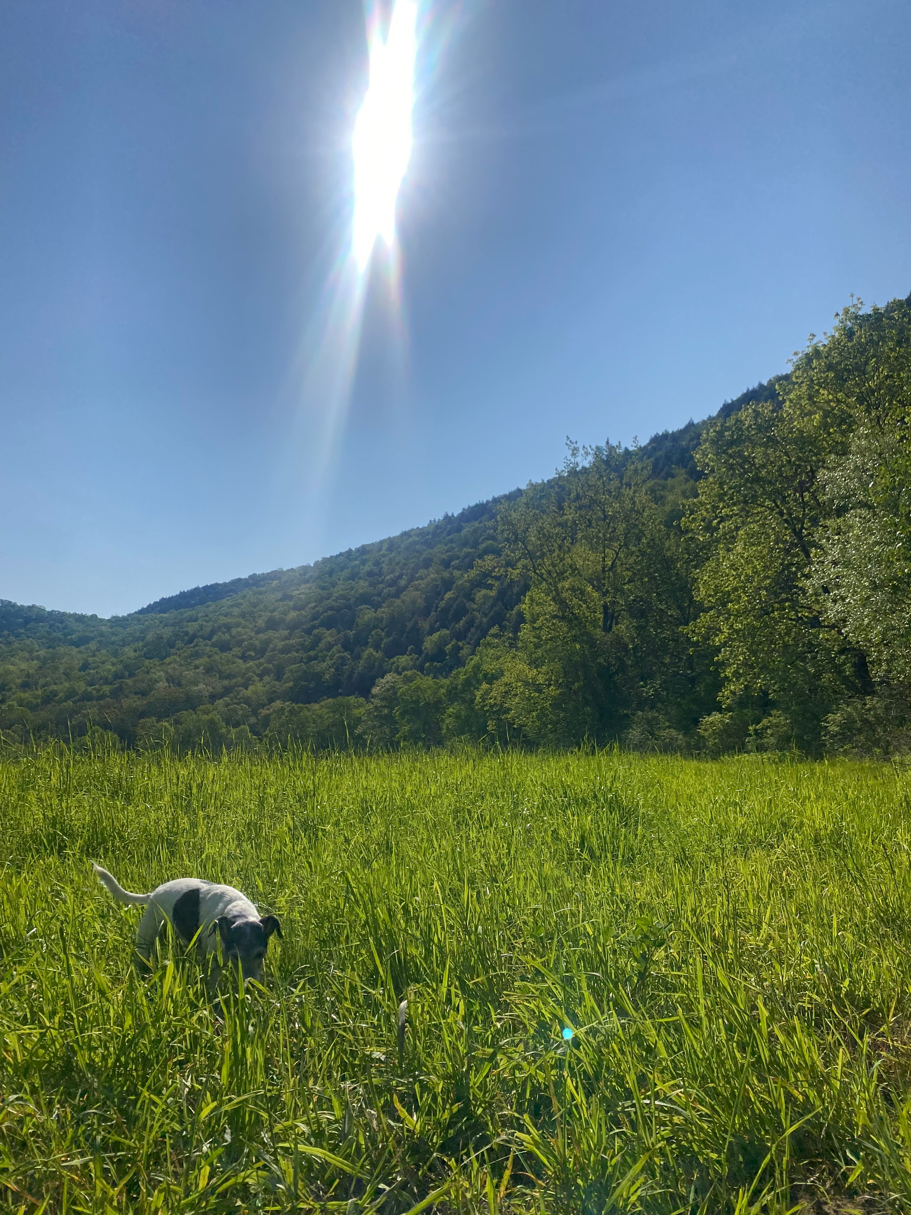 Mountain Rise Farm and Campground