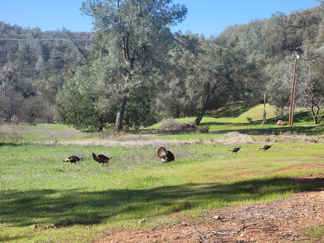 Perfect Getaway with Private Creeks