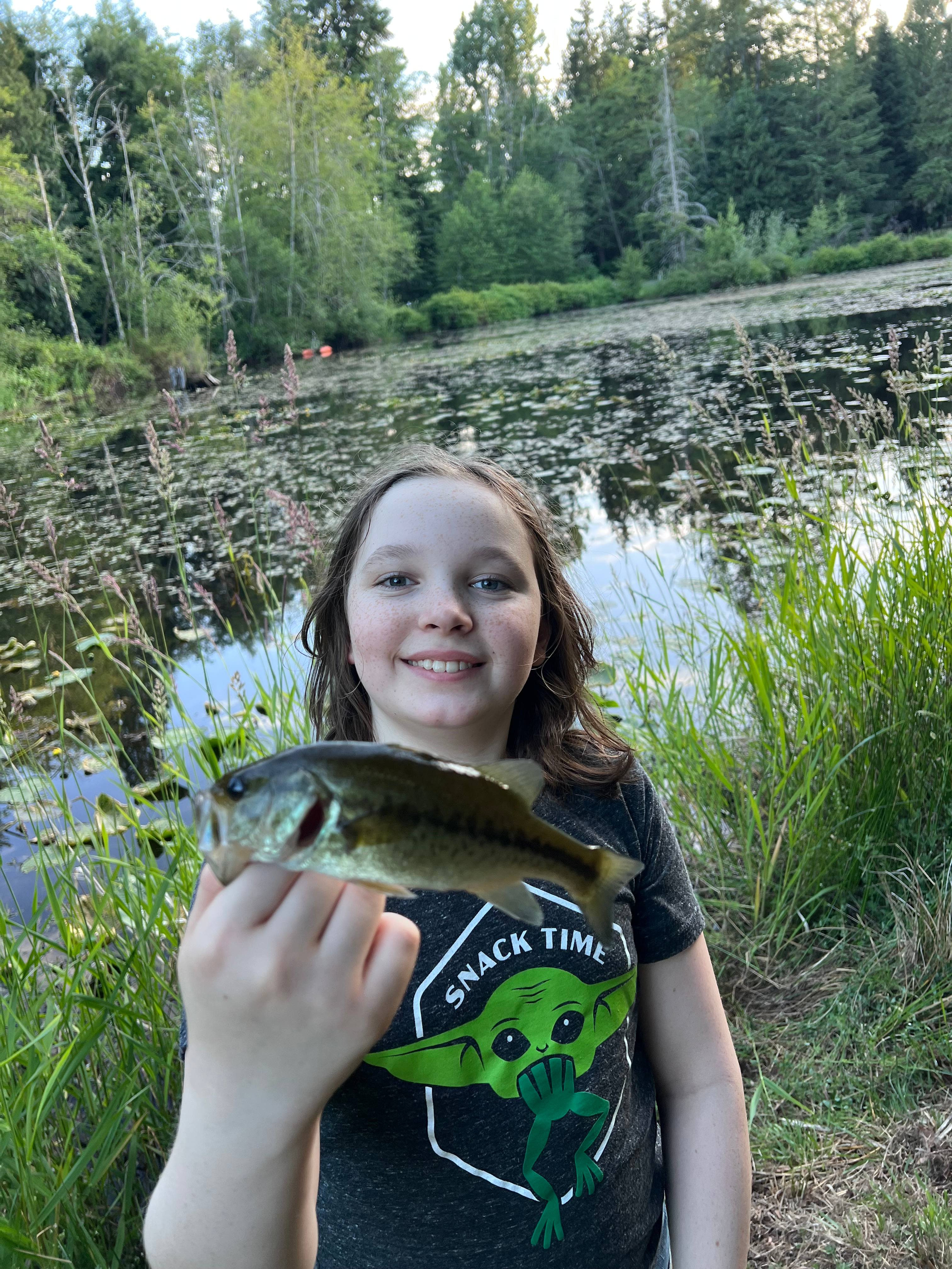 Dragonfly Campground