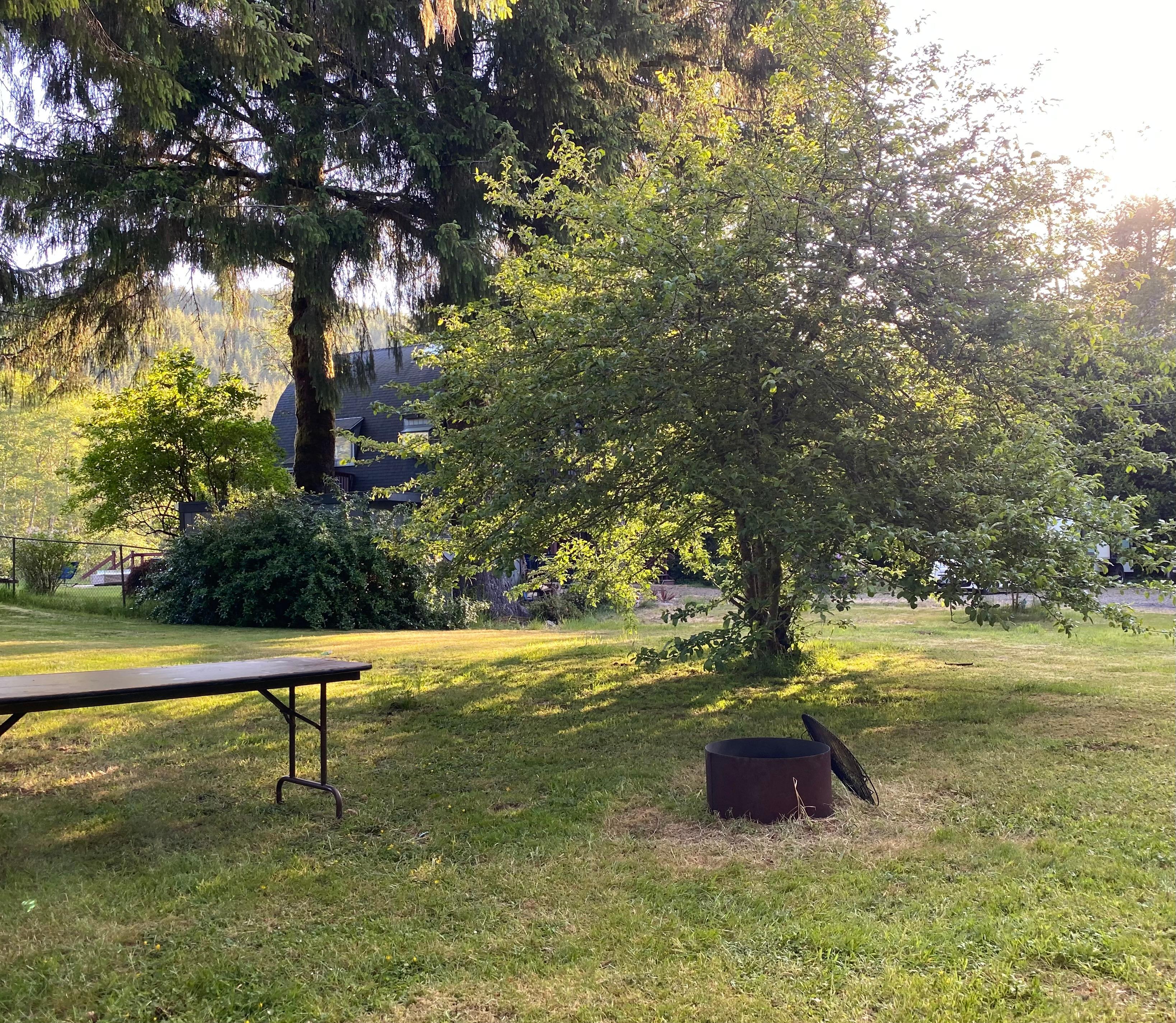 The Riverwood site is situated by this old apple tree.