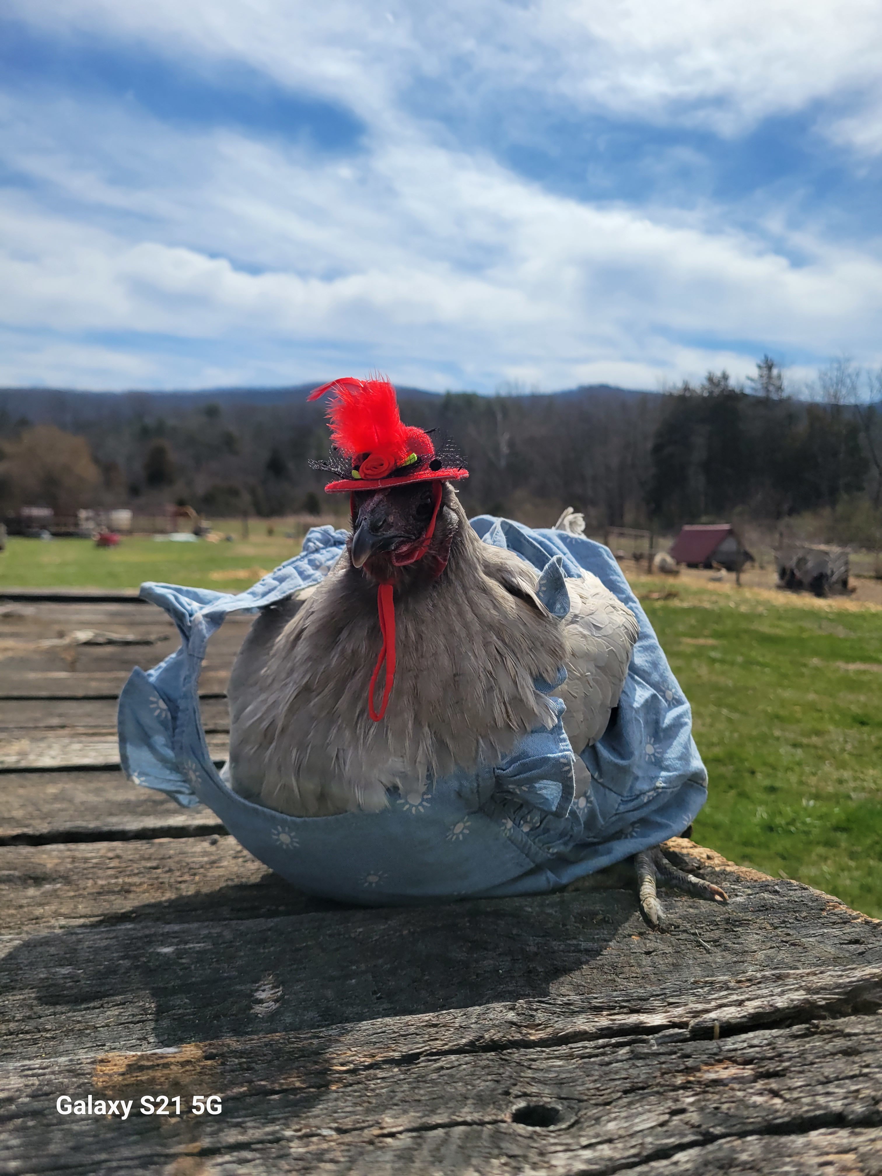 Faithful Harvest Farm