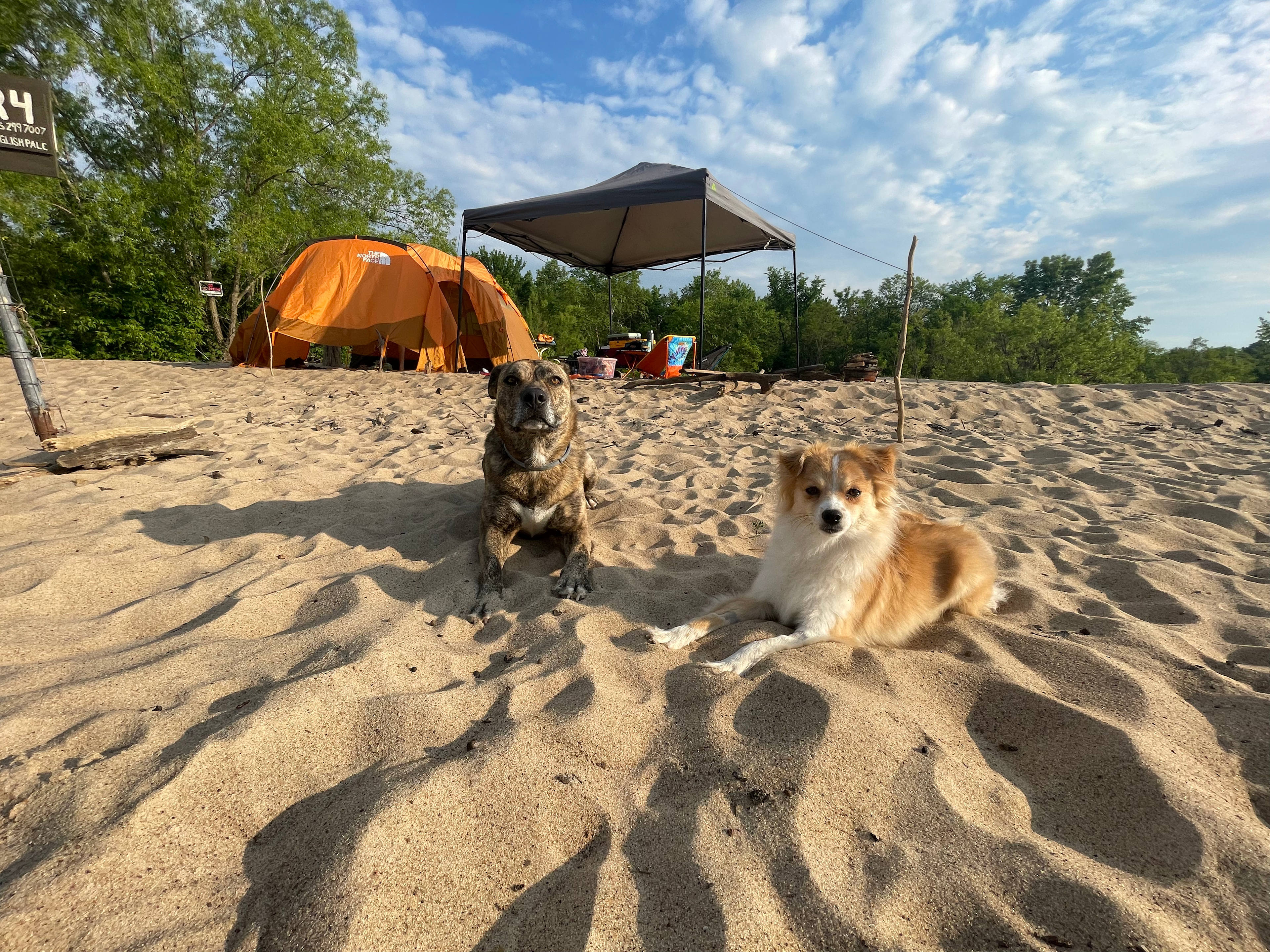 The English Pale Campground (21+)
