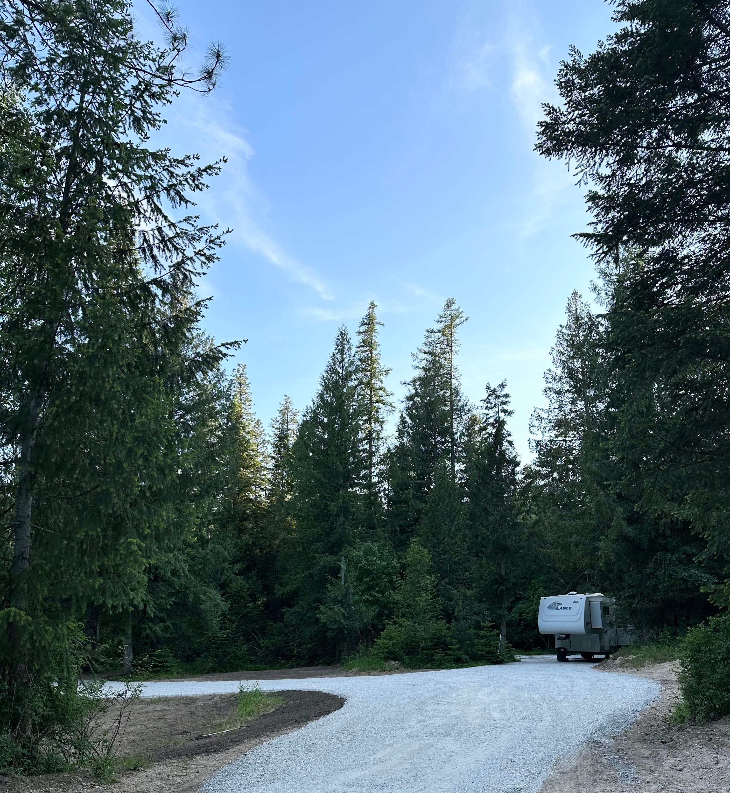 Turnipseed Creek Campsites