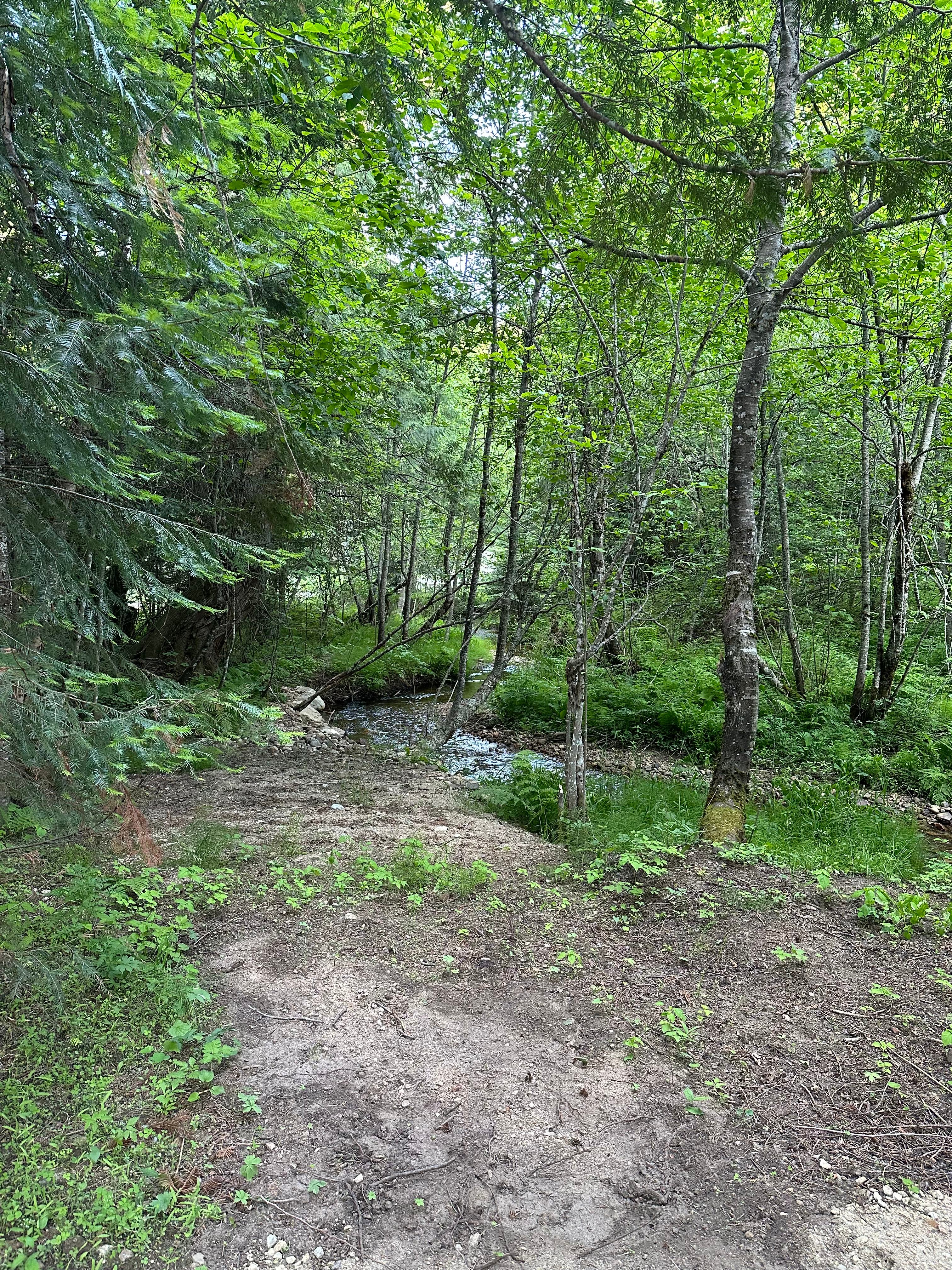 Turnipseed Creek Campsites