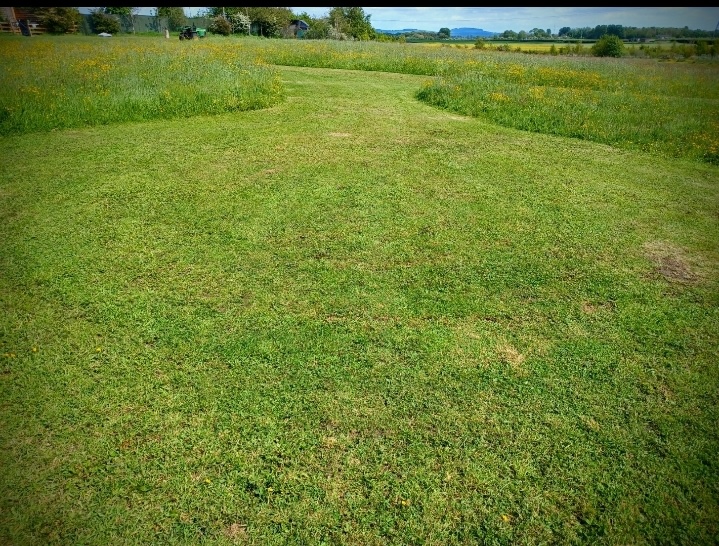 Moss Rose Campsite