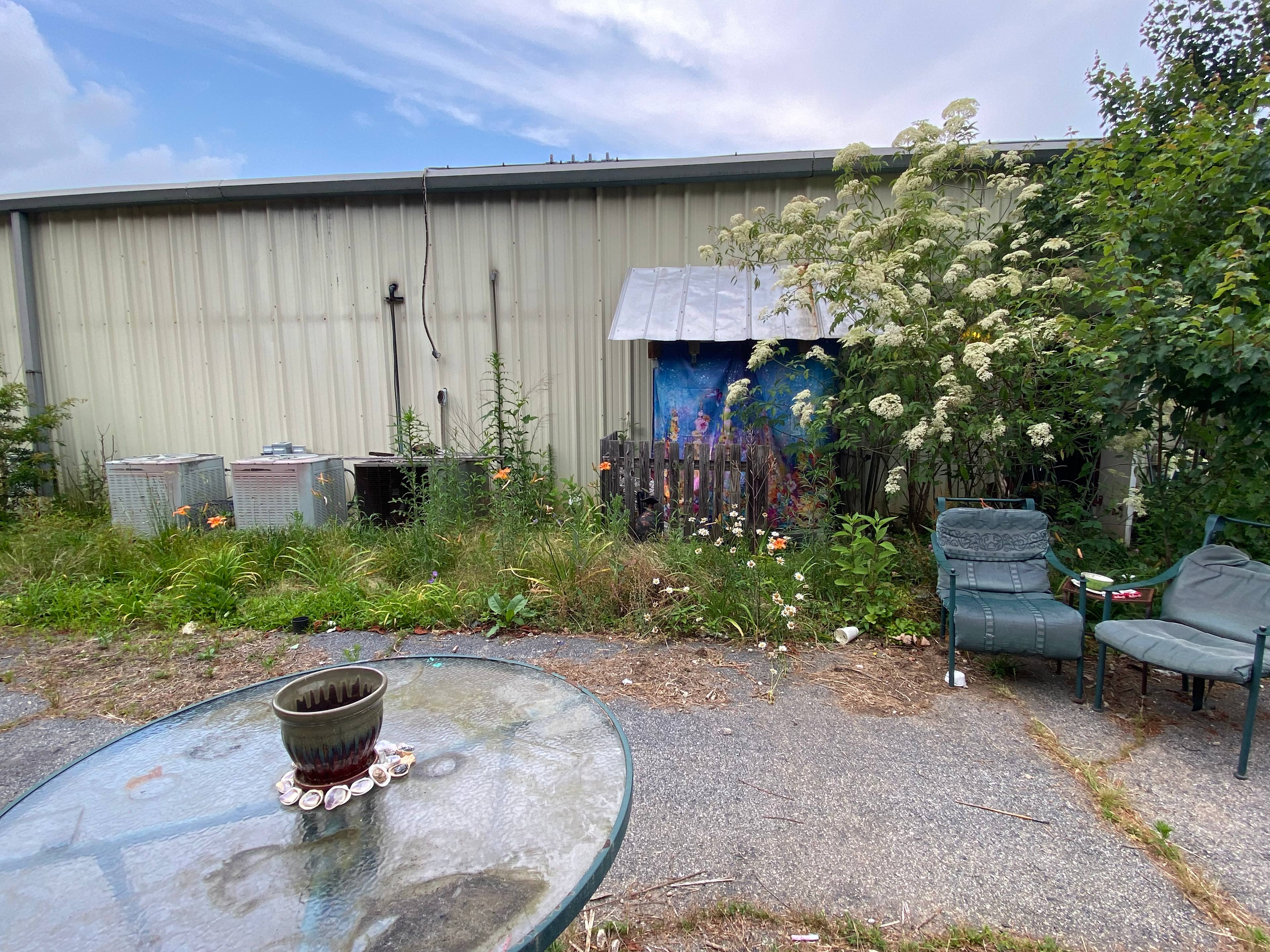 Serendipity @ Full Circle Sanctuary