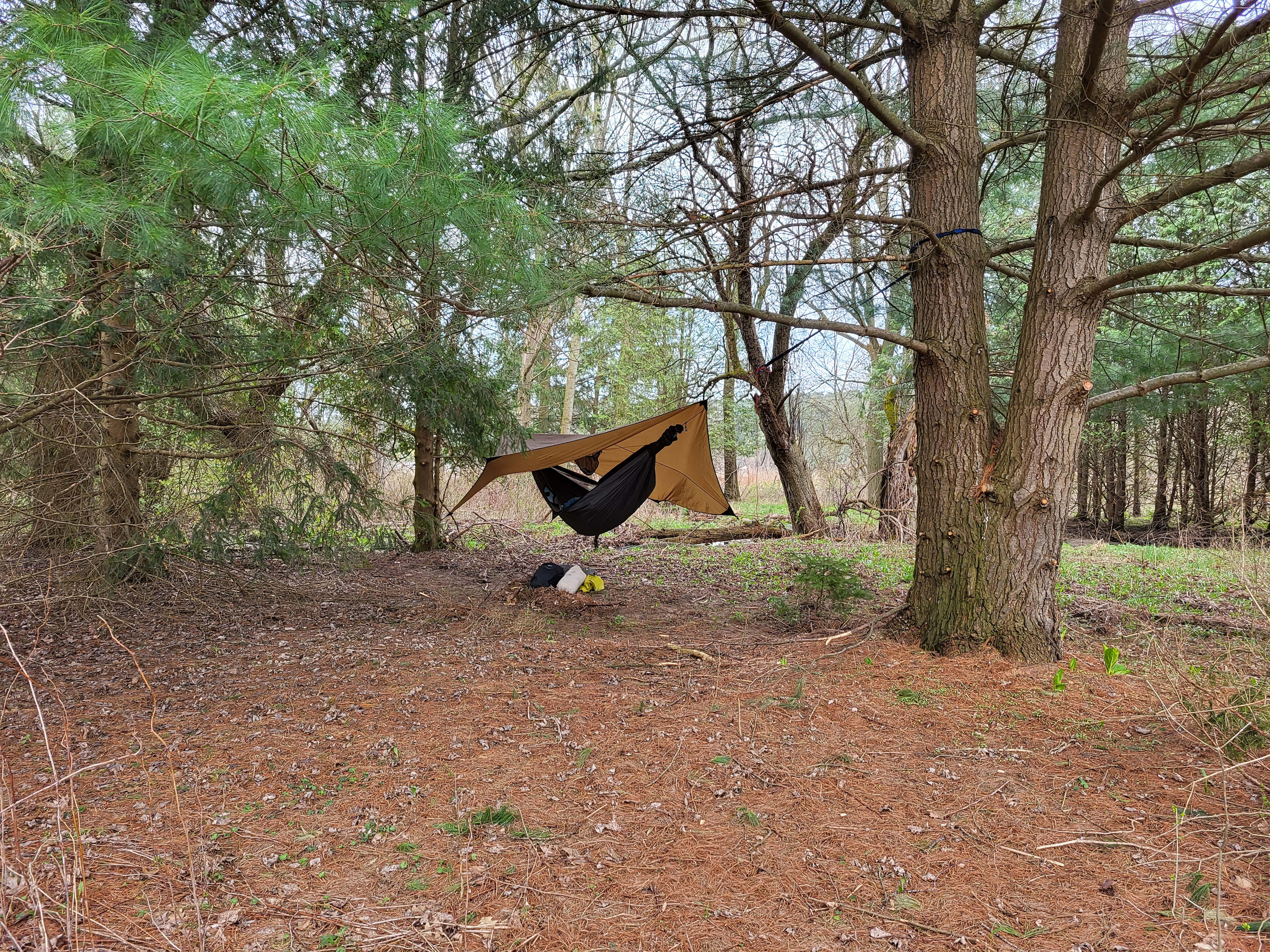 Hammock setup area next to the wildflower field