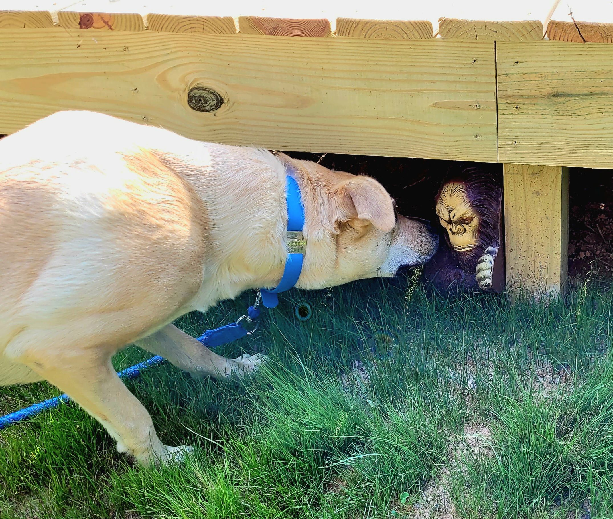 Mountainview Rock Island rv/tent