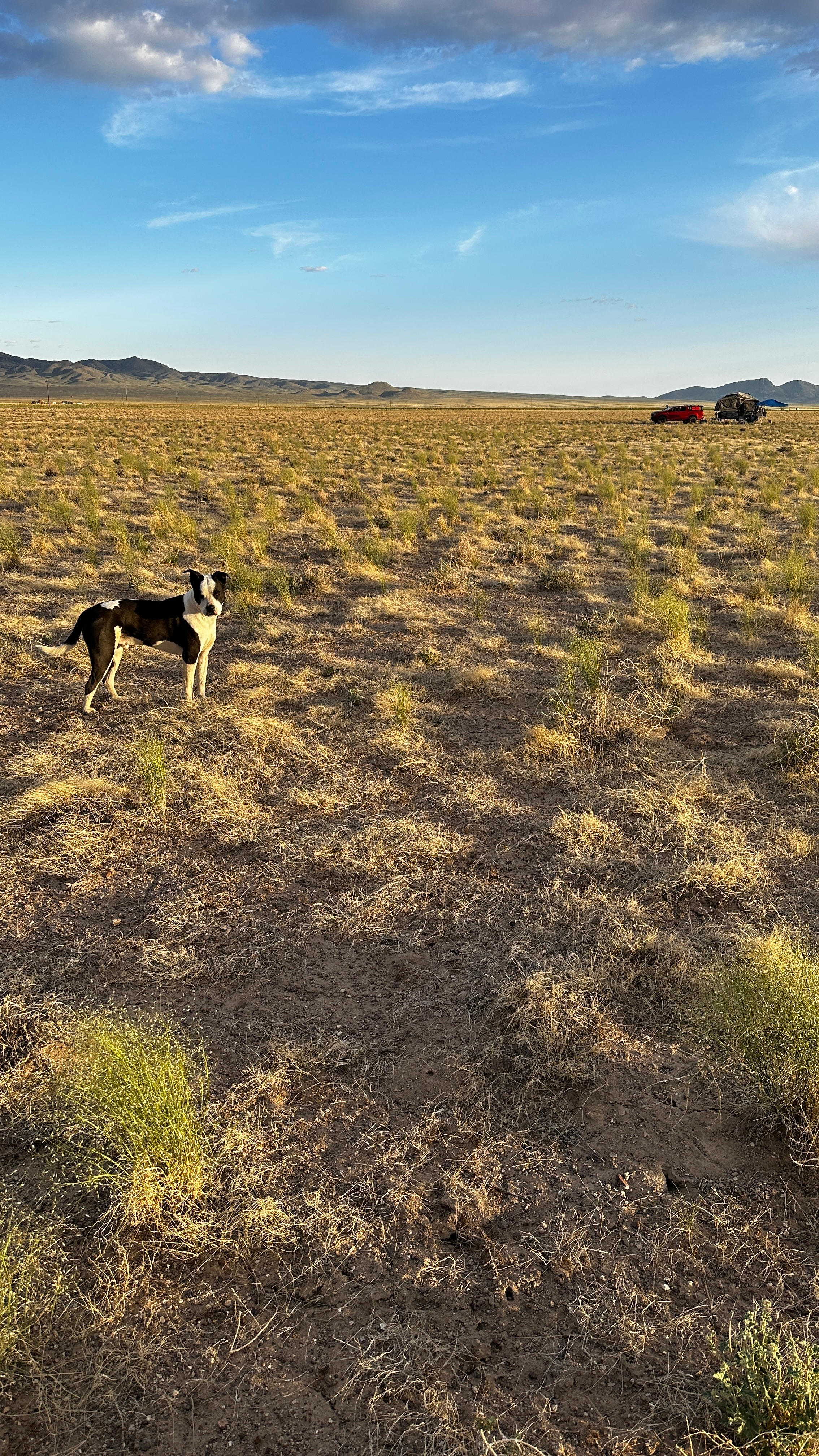 #1 Night Skies, UFOs, & Jets