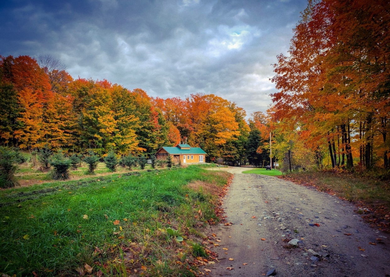 Maple Hill Farm - Barton, Vermont