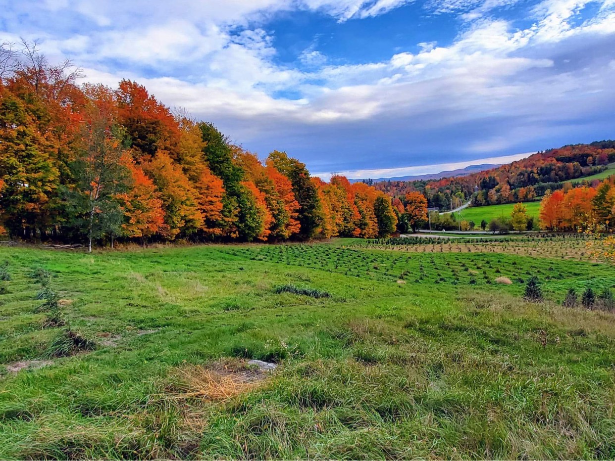 Maple Hill Farm - Barton, Vermont
