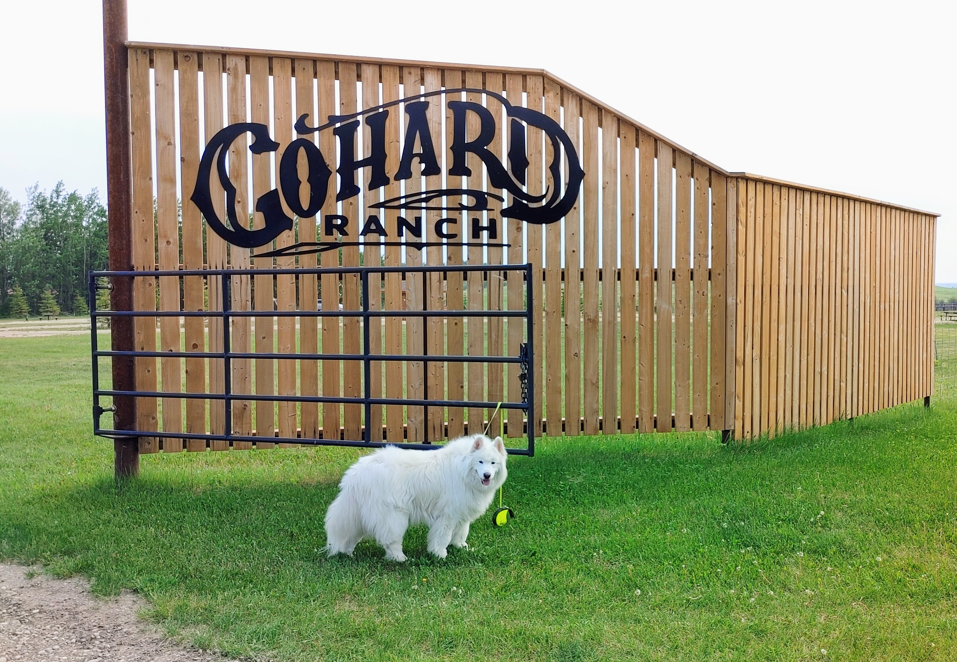 Arriving at Go Hard Ranch campground with my best friend!