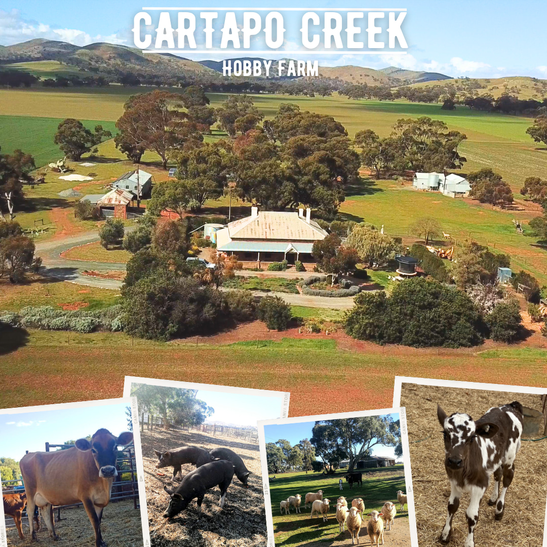 Cartapo Creek - Farm Stay