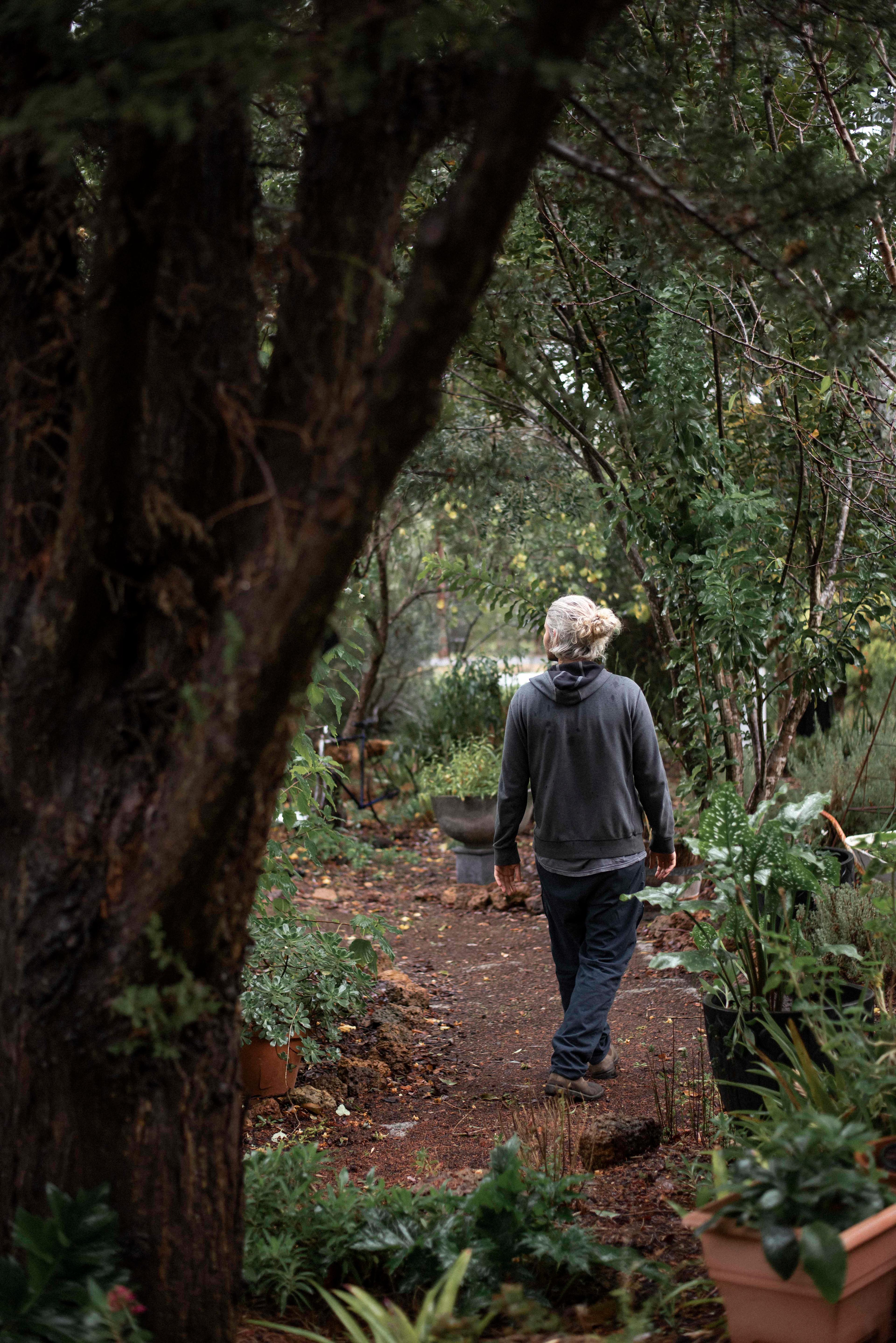Nannup Lavender Camping and Cottage