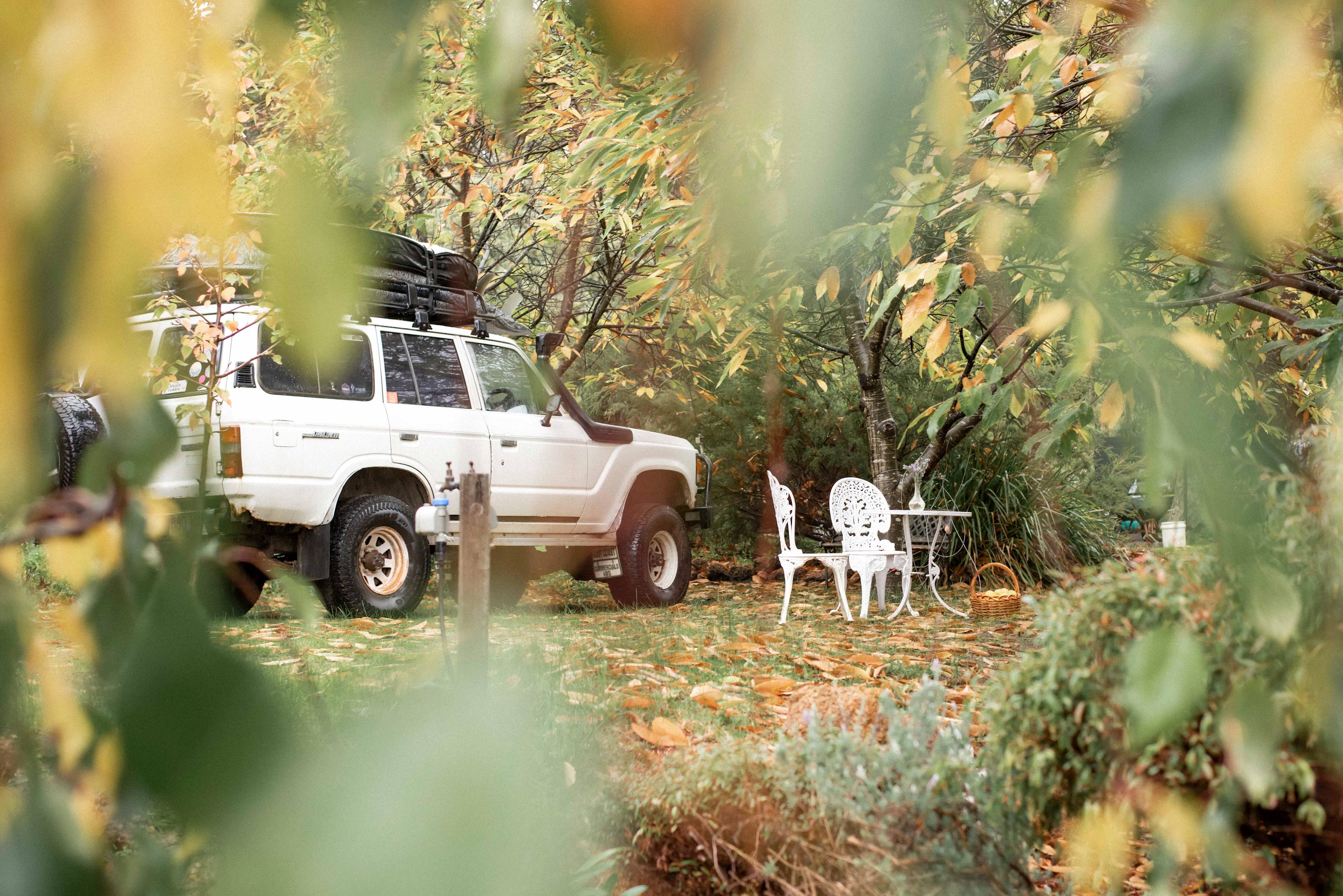 Nannup Lavender Tranquil Campground