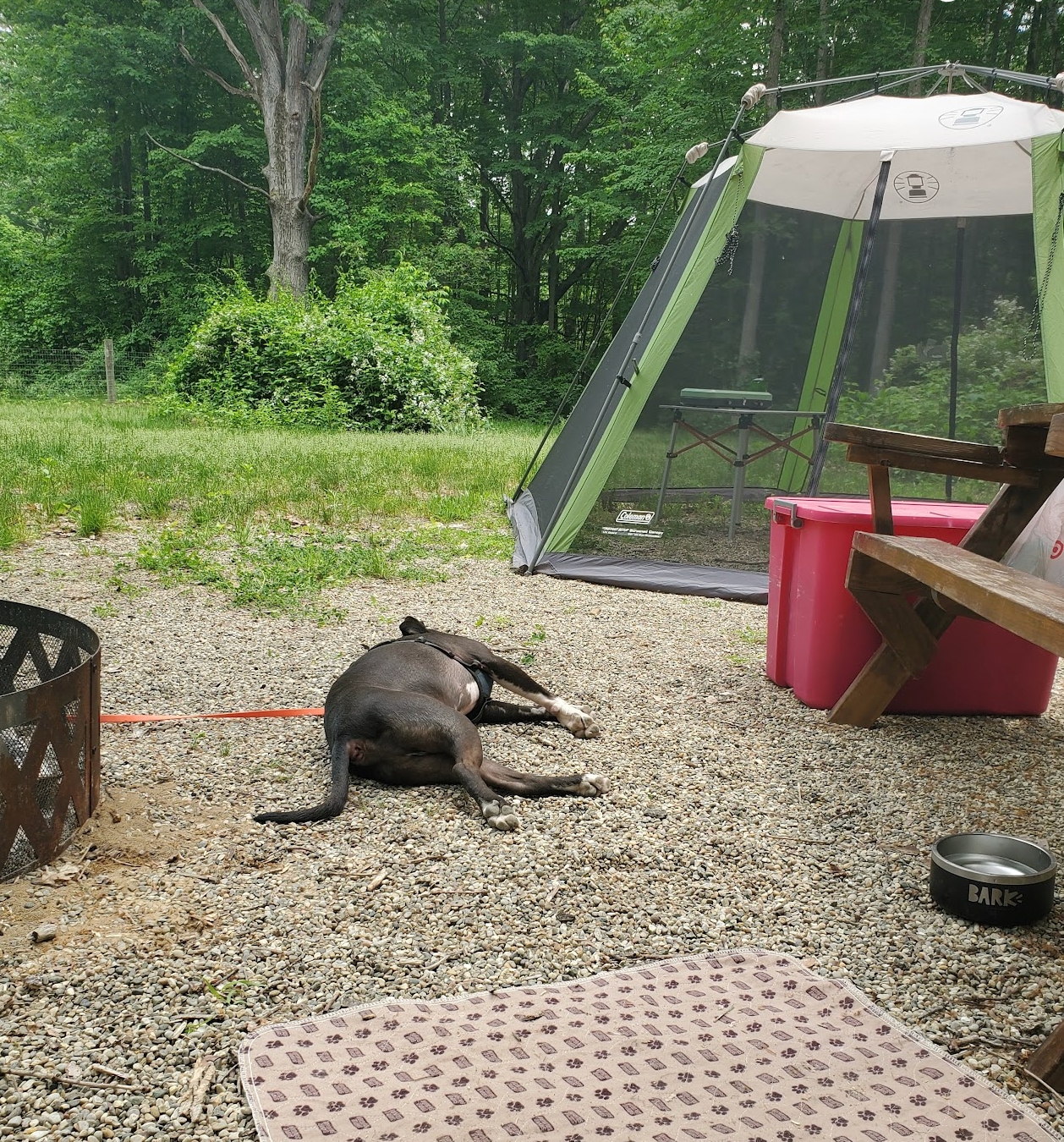 6+ Acre Rustic Forest Camp