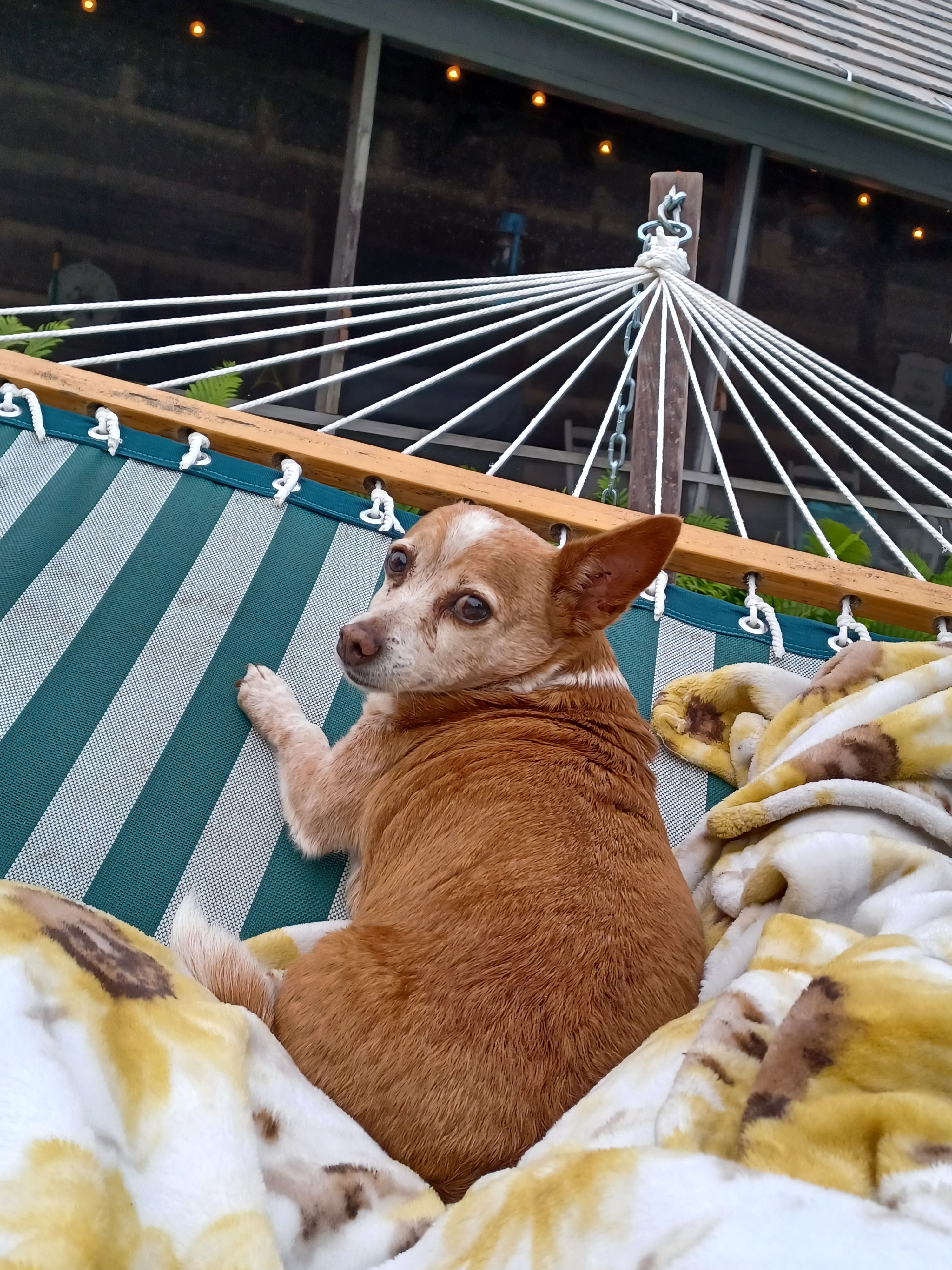 Jack's Run, Glade Hill, VA