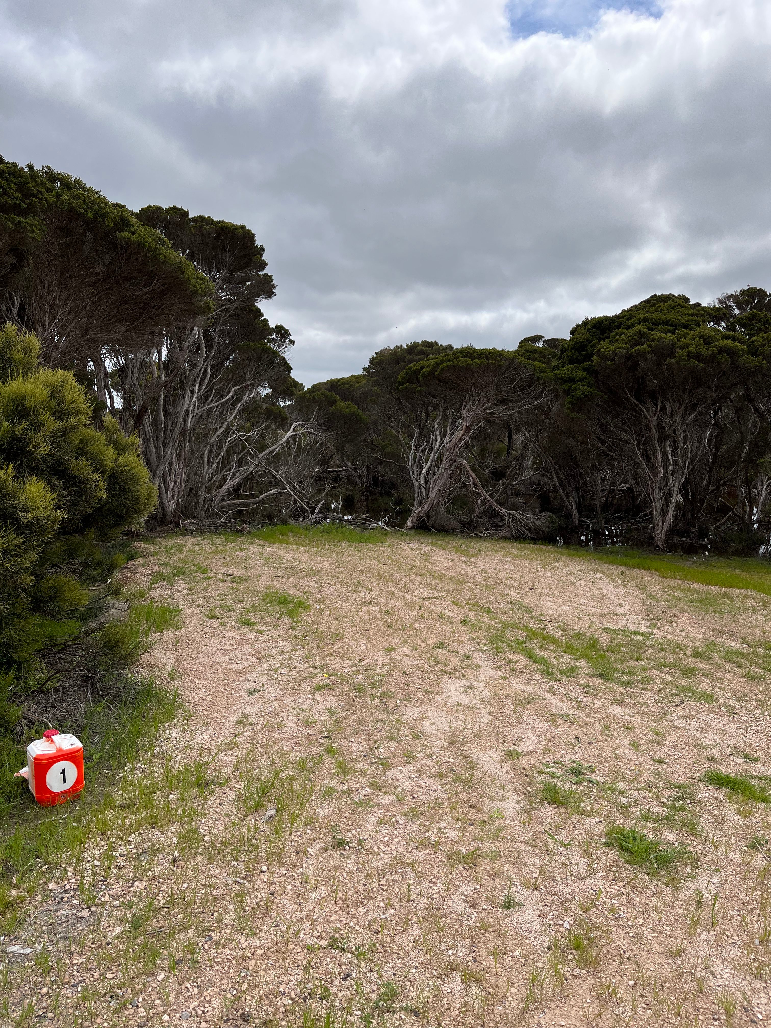 Marion Bay Bush Camping