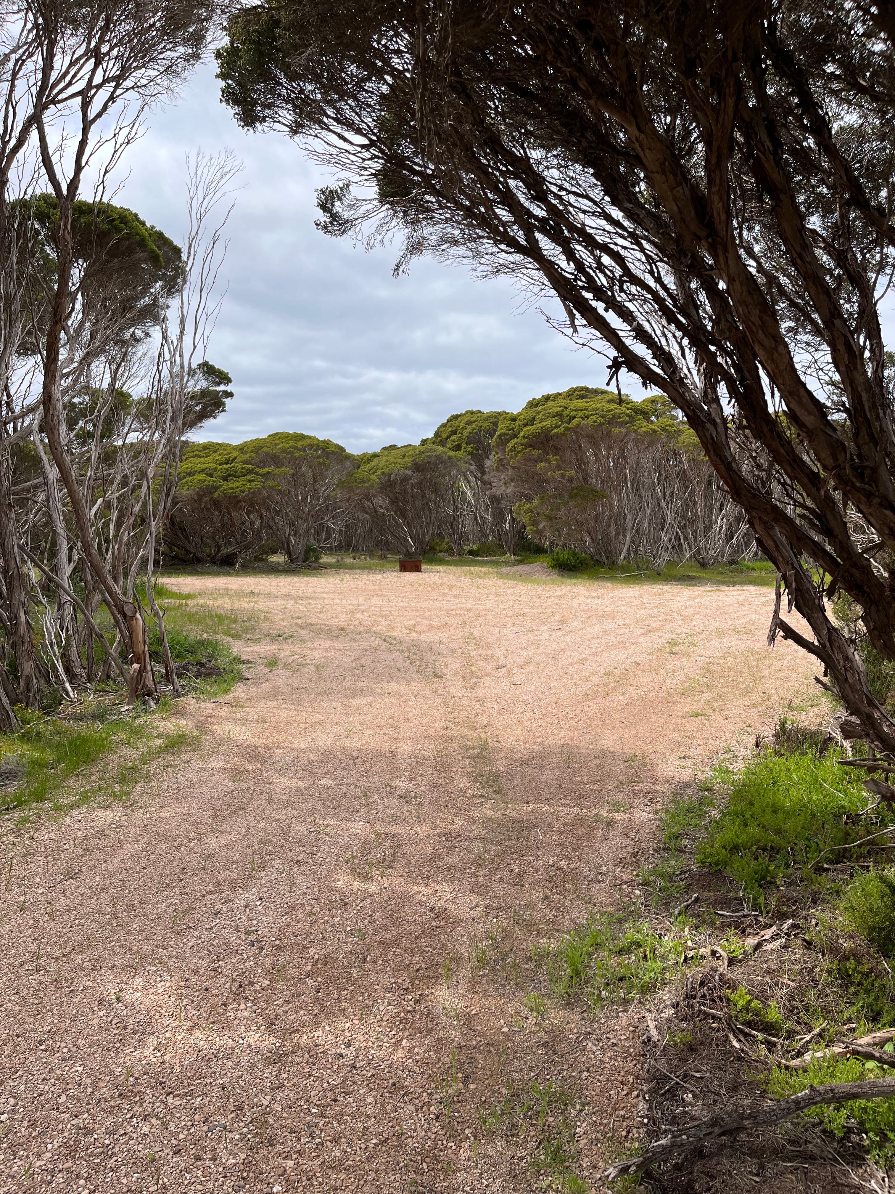 Marion Bay Bush Camping