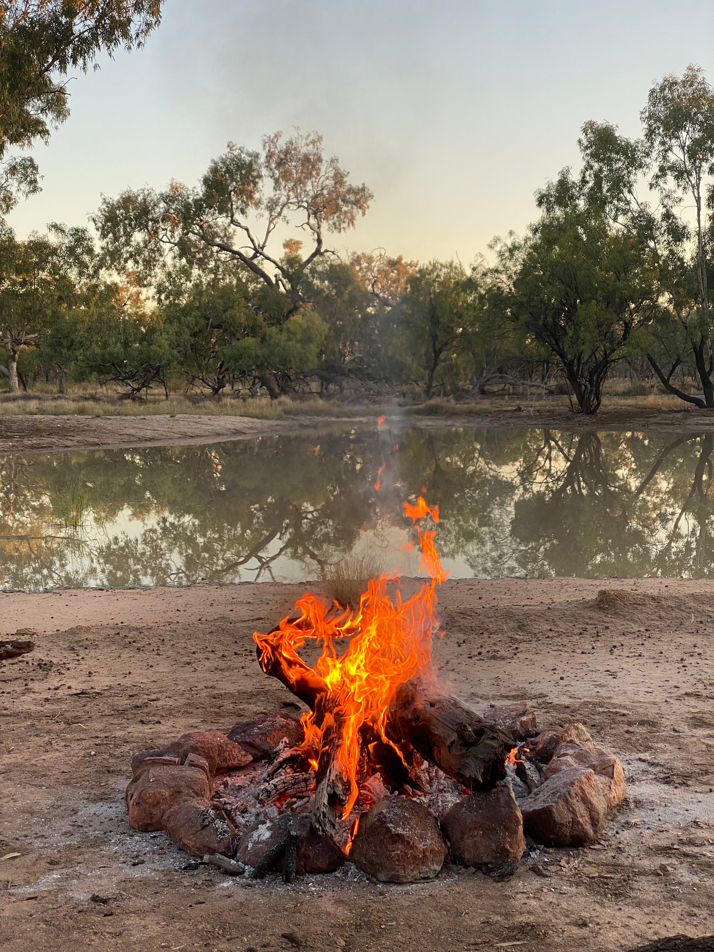 The ultimate firewood, Gidgee which is the 3rd densest wood in the world! 