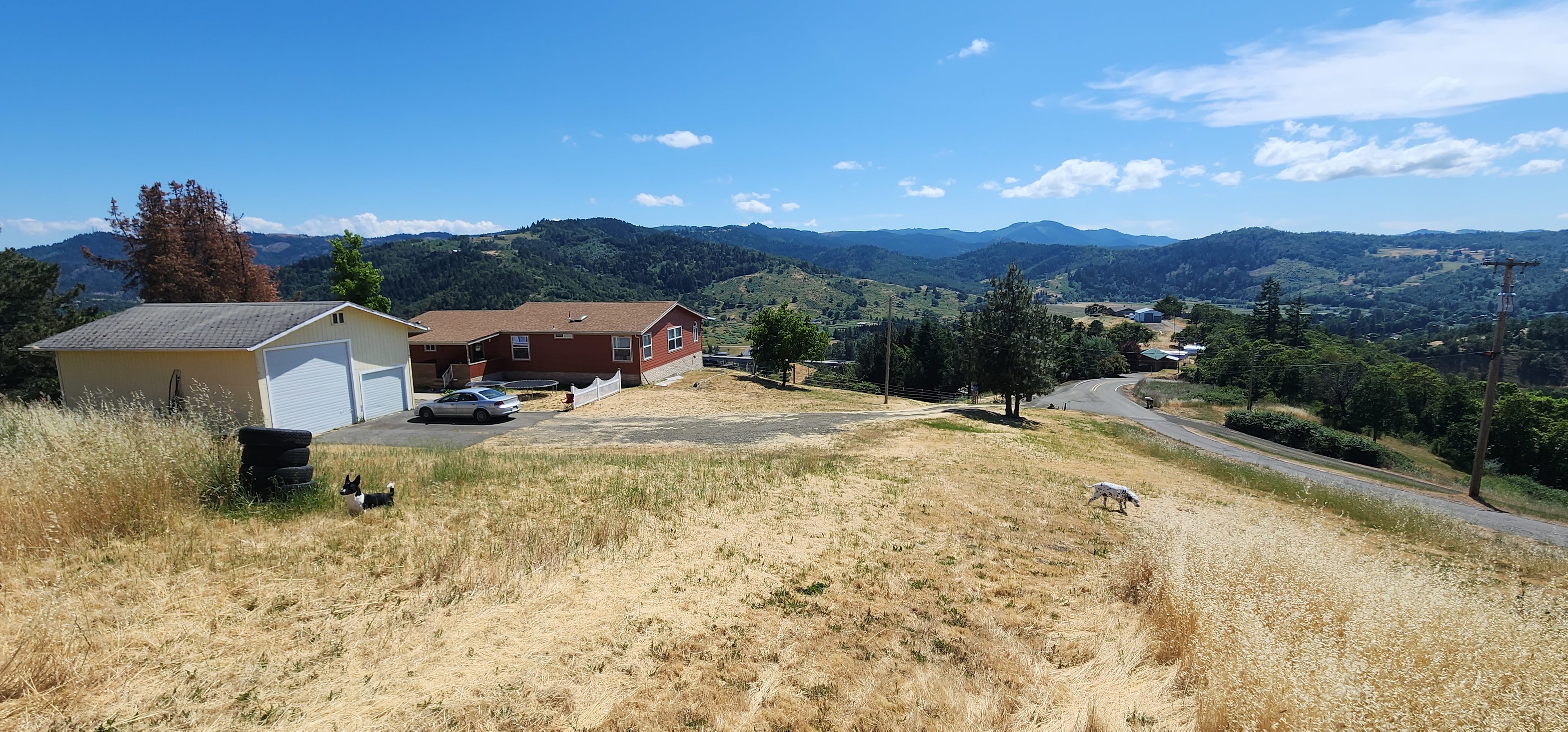 View from the top of my property