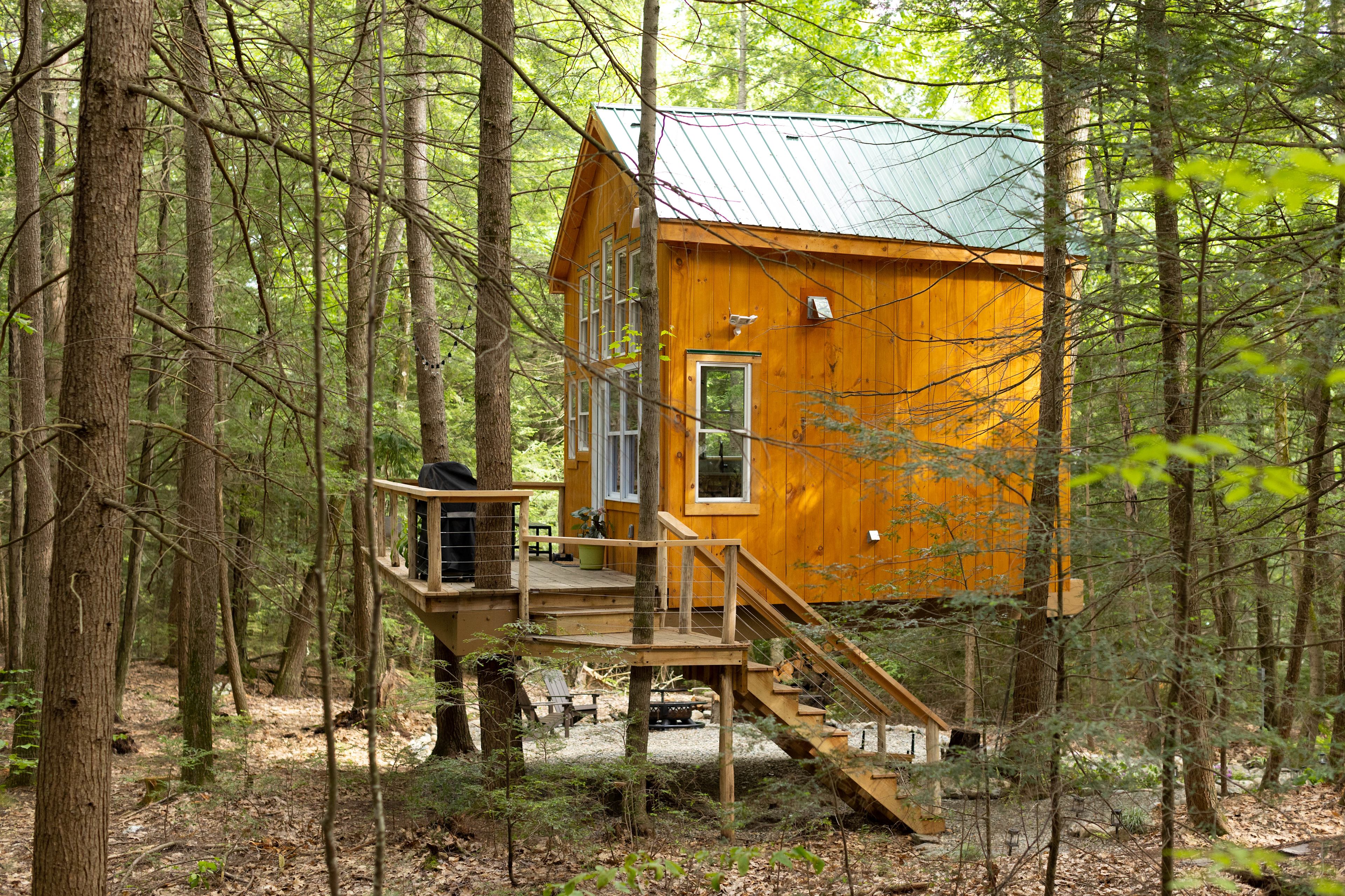 House in a Tree VT