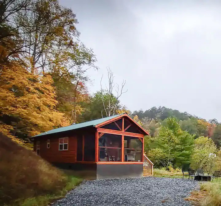 fall color all around