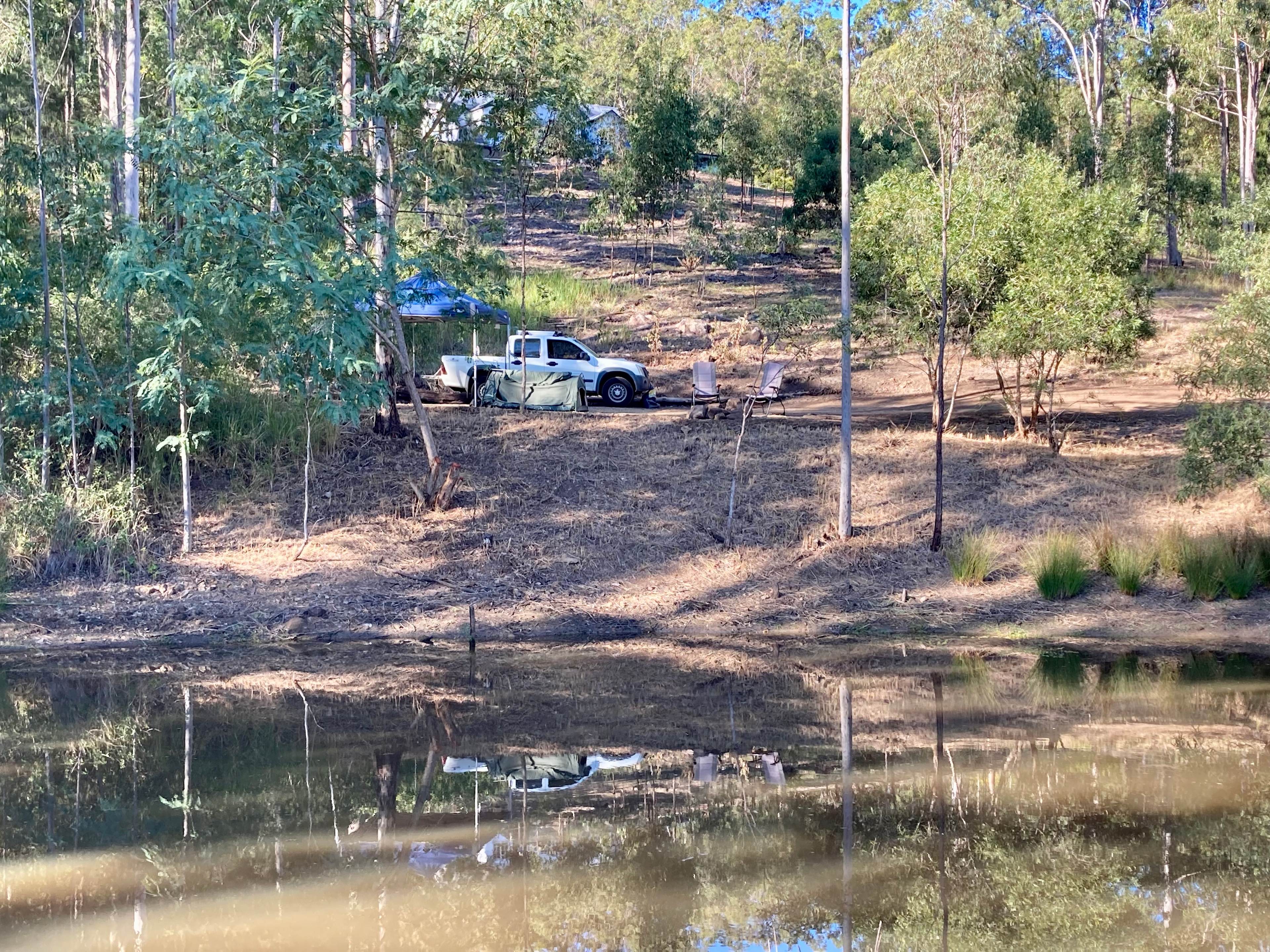 Dragonfly Dam - Moogerah
