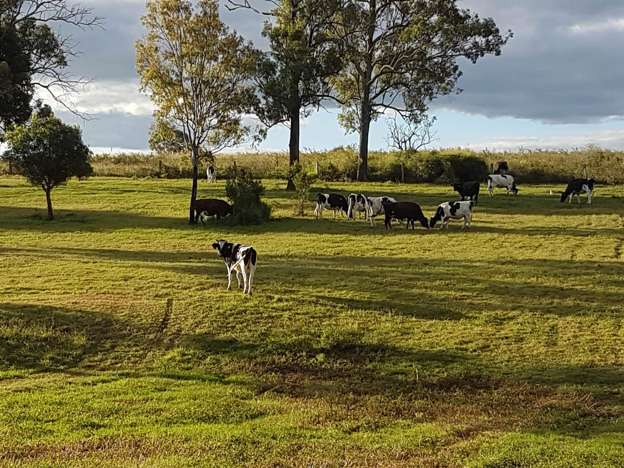 ‘Em ‘N’ Jay Farmstay
