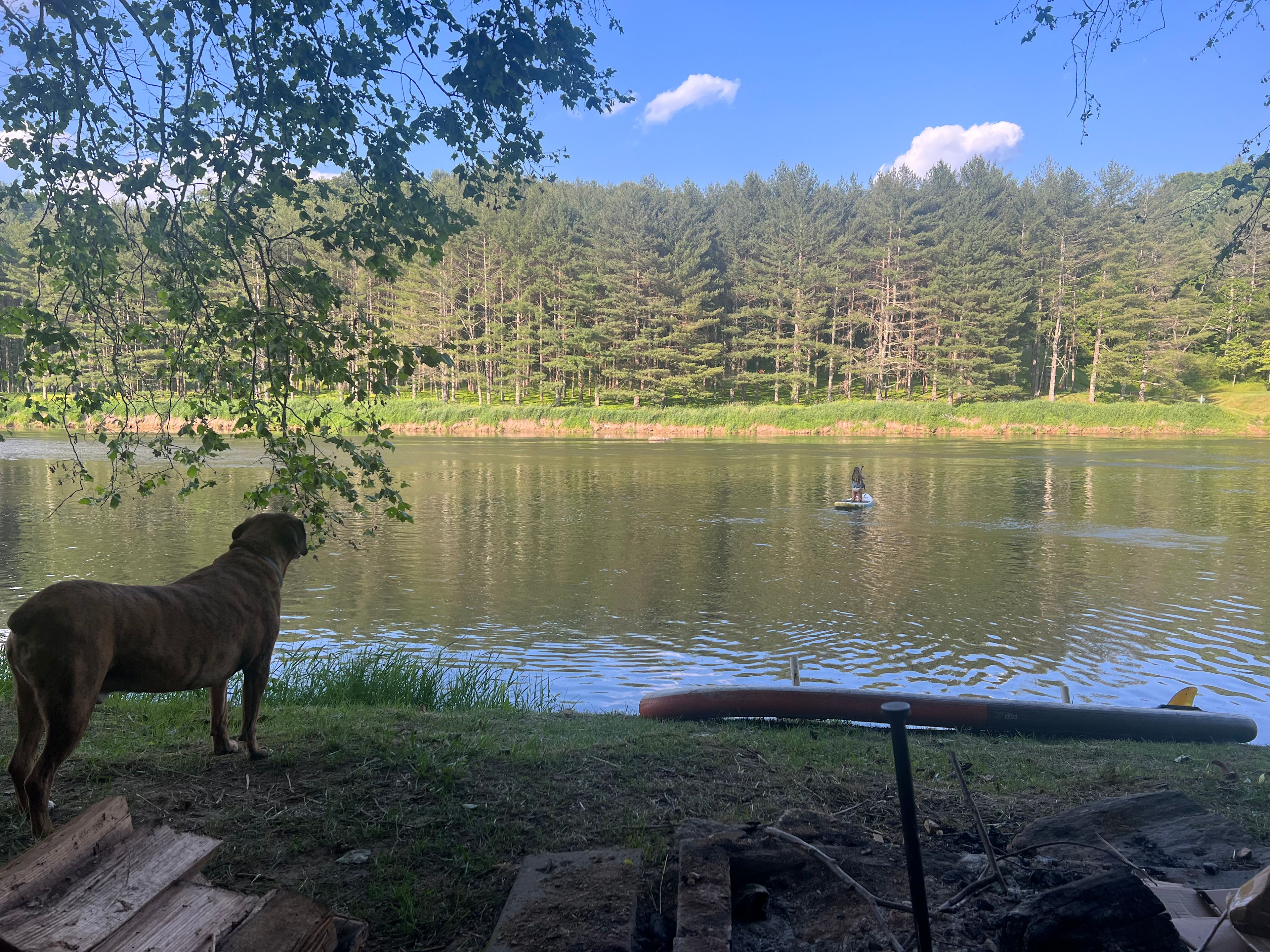 New River Yacht Club